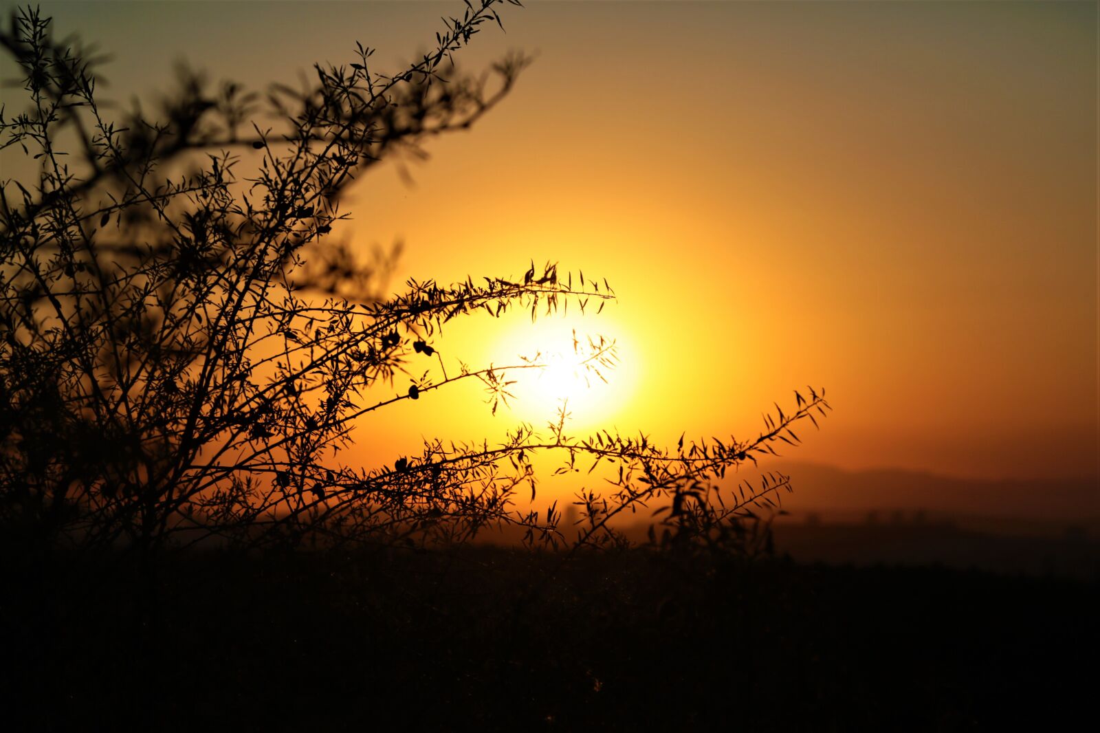 Canon EF 24-105mm F4L IS USM sample photo. Sunset, in the evening photography