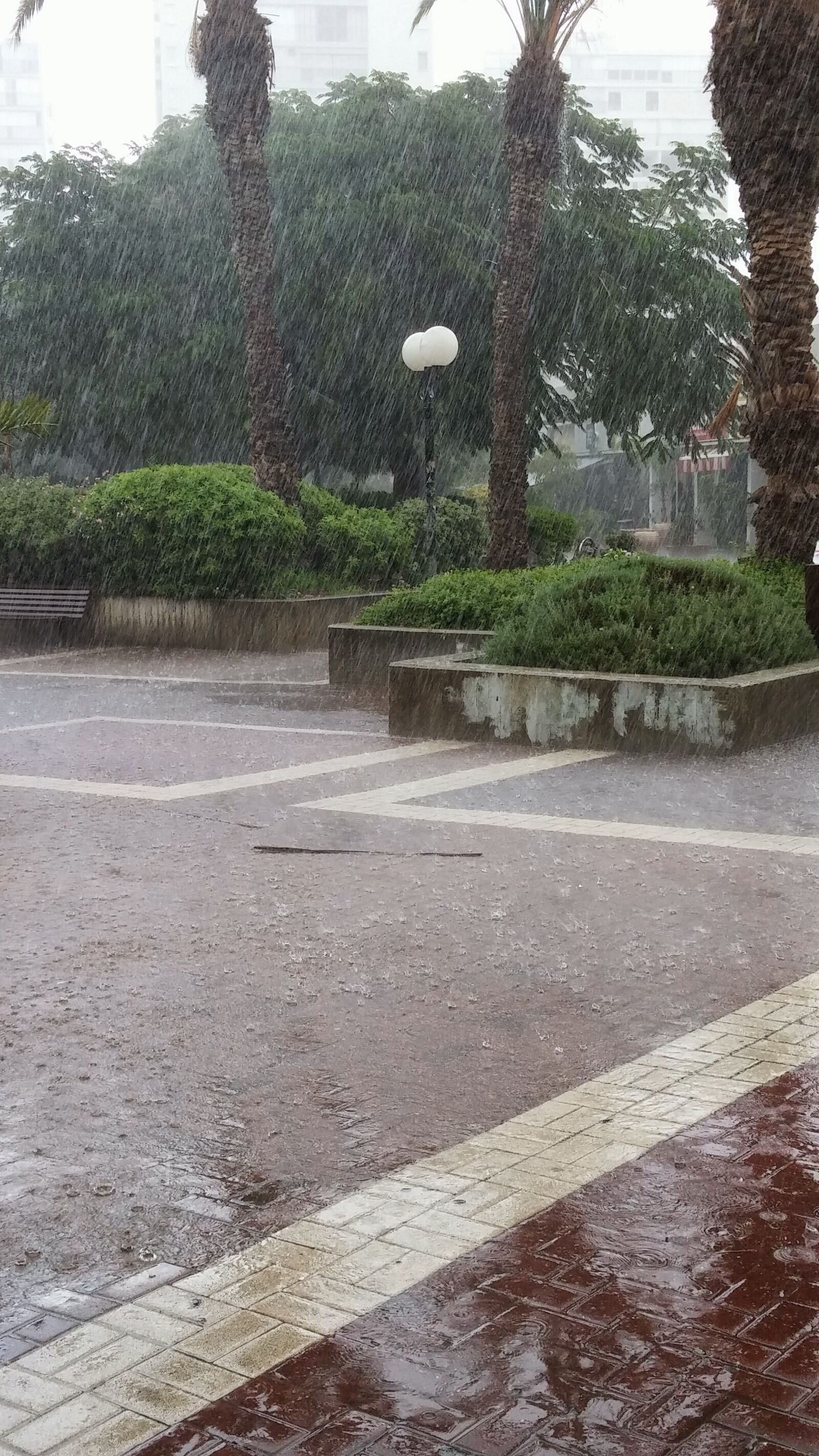LG D855 sample photo. Rain, tel aviv, israel photography