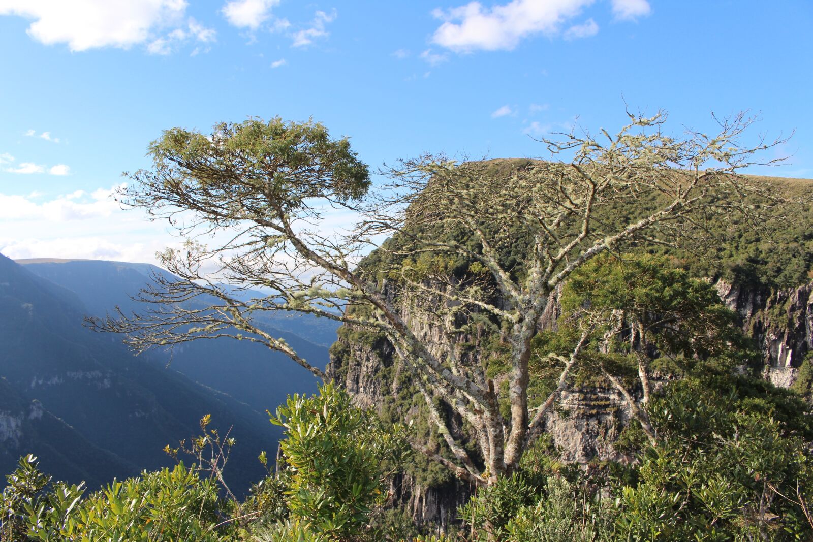 Canon EOS 700D (EOS Rebel T5i / EOS Kiss X7i) sample photo. Landscape, claudio oliveira, rio photography