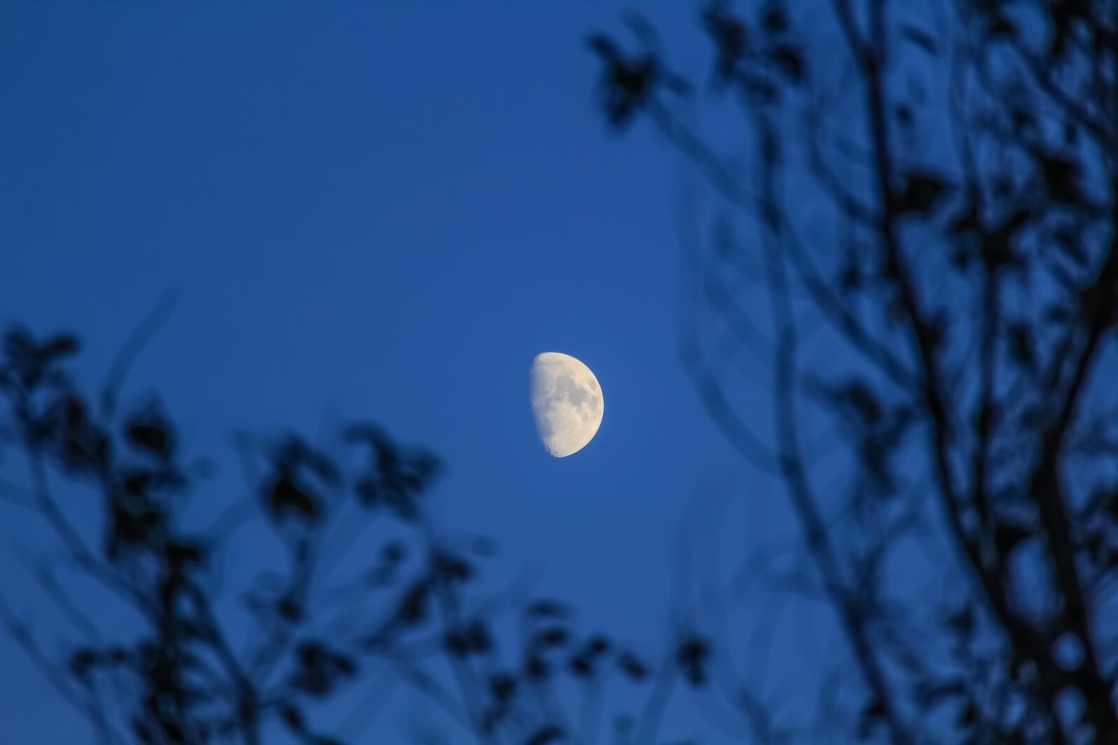 Canon EOS 1200D (EOS Rebel T5 / EOS Kiss X70 / EOS Hi) sample photo. Night, moon, imagination photography