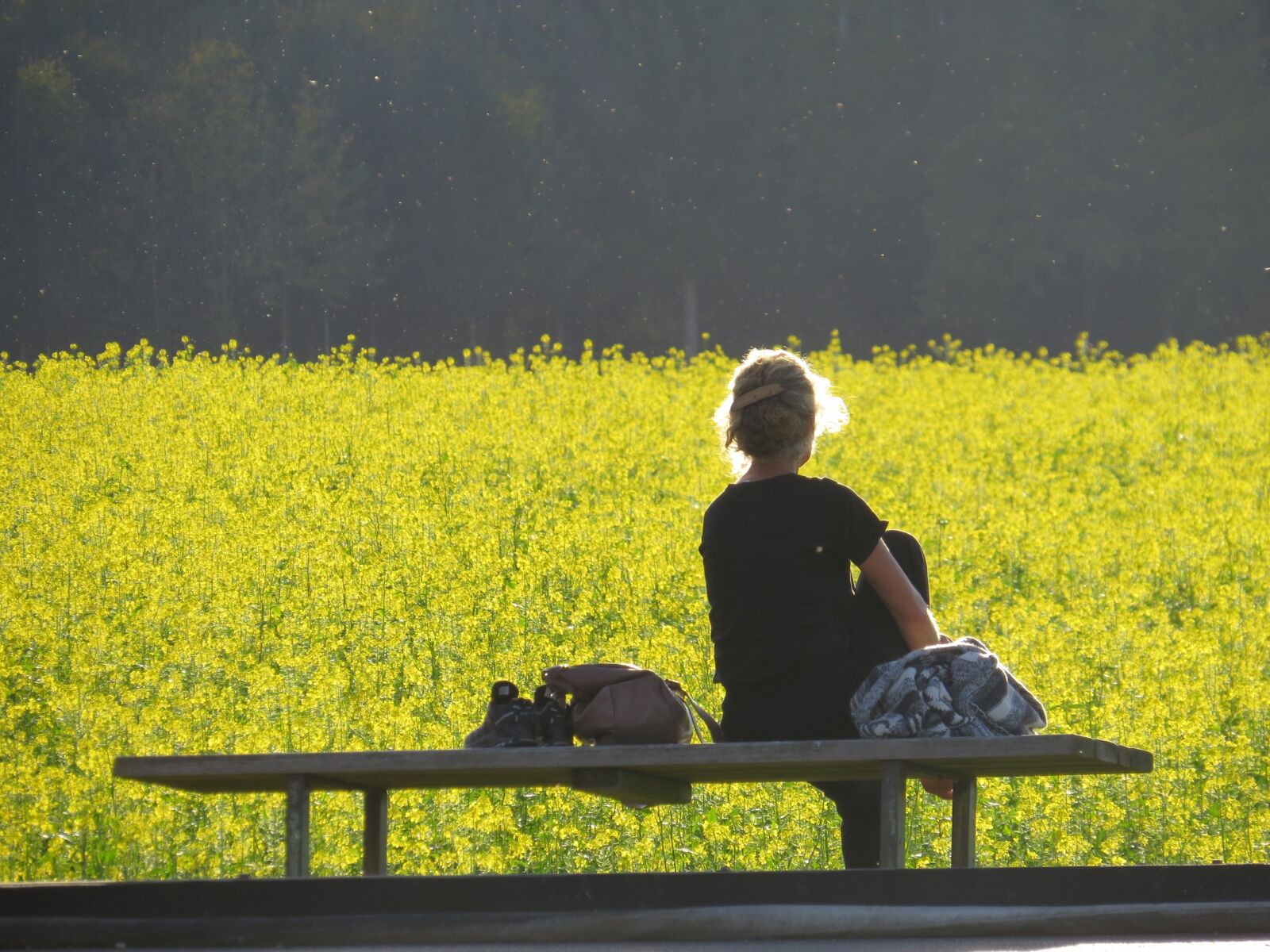 Canon PowerShot SX50 HS sample photo. Landscape, people, outdoors photography