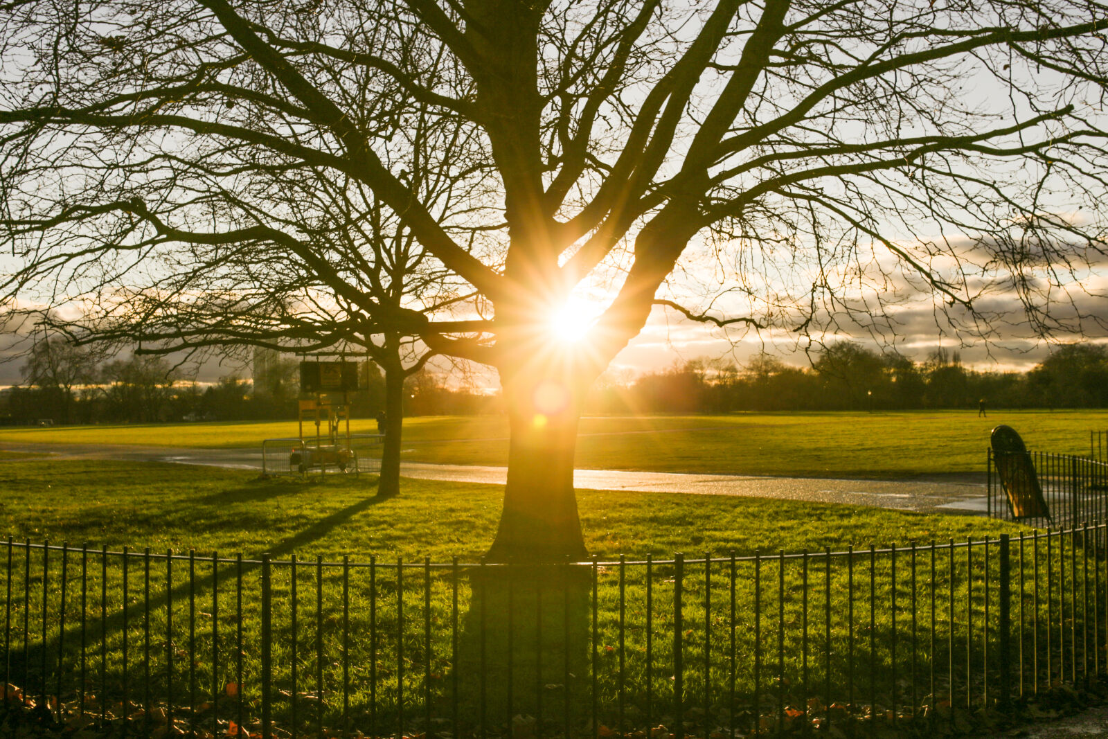 Sigma 35mm F1.4 DG HSM Art sample photo. Clouds, golden, hour, grass photography