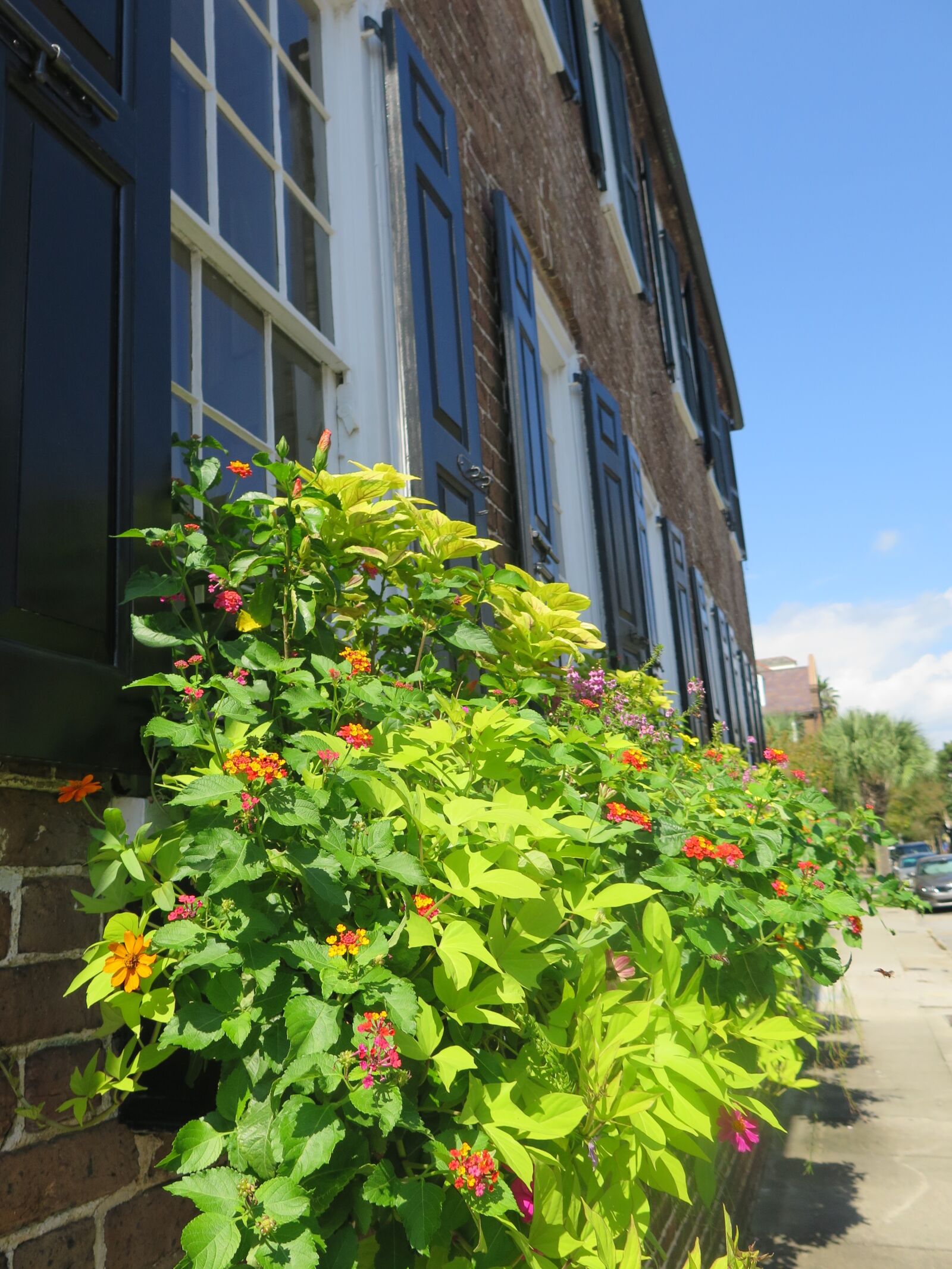 Canon PowerShot G16 sample photo. Homes, flower, united states photography