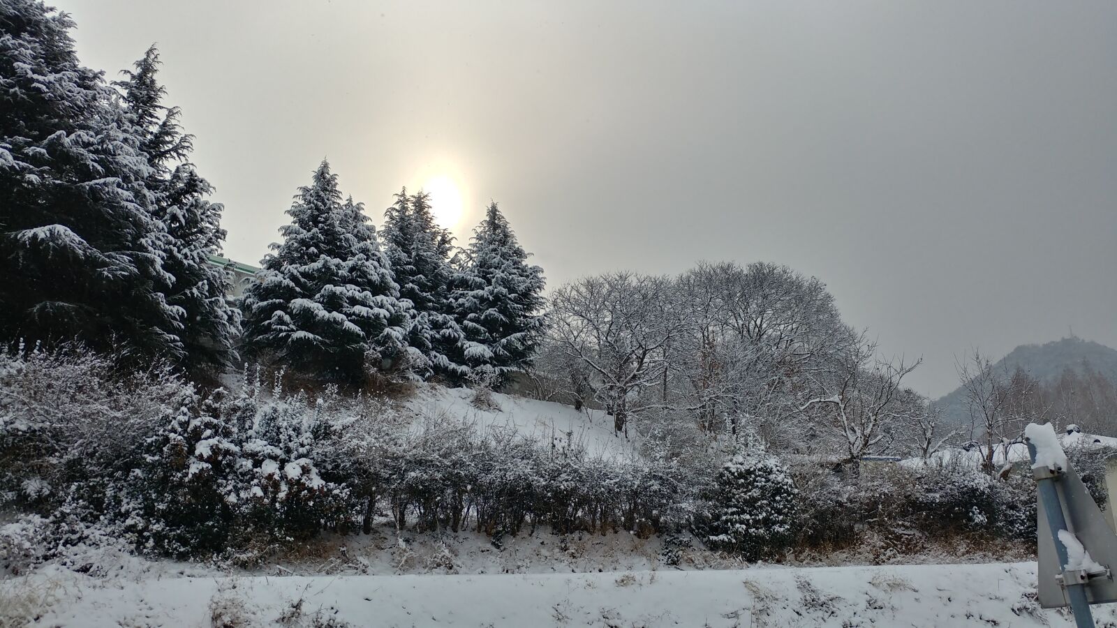 LG V20 sample photo. Snow, sunrise, landscape photography