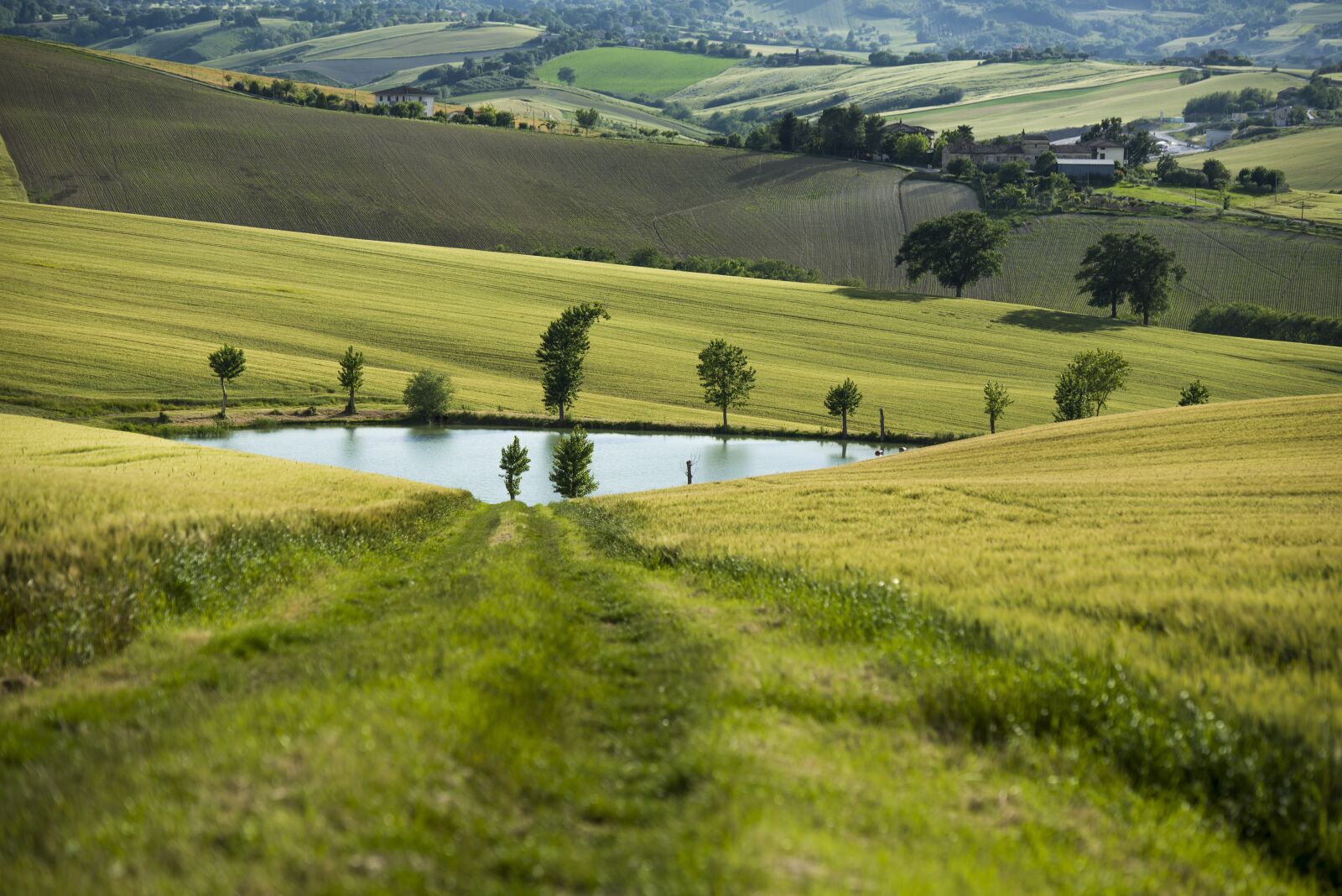 Nikon D610 sample photo. Landscape, nature, field photography