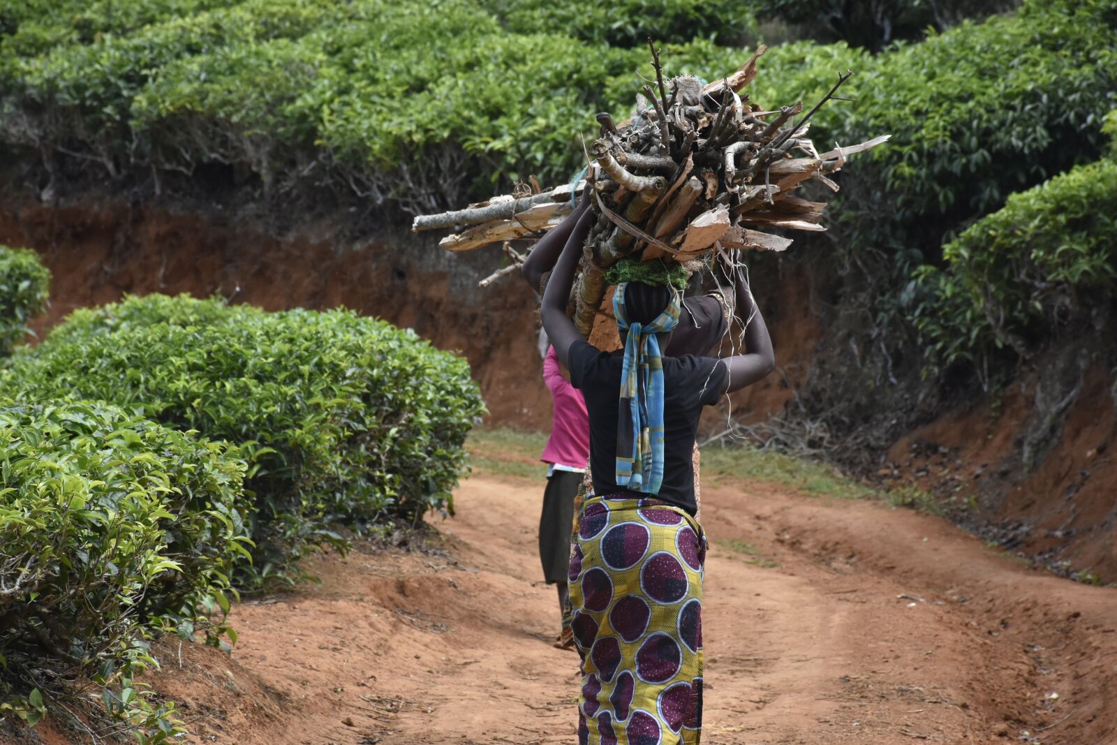 Nikon D7200 sample photo. Women, firewood, village photography