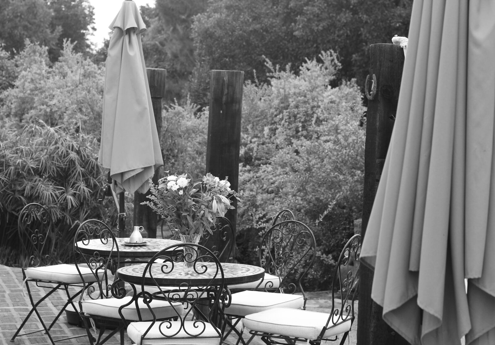 Canon EOS 1100D (EOS Rebel T3 / EOS Kiss X50) + Canon EF 50mm F1.8 II sample photo. Silence, terrace, outdoors photography