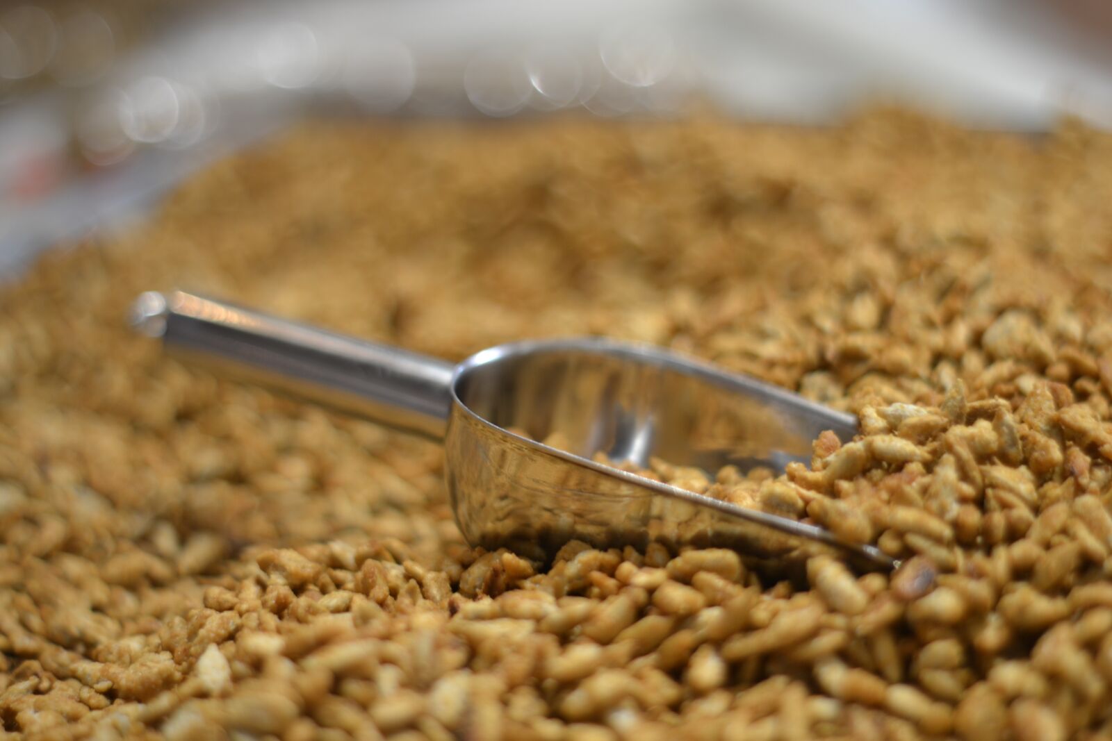 Nikon D3100 sample photo. Grain, dried fruits, food photography