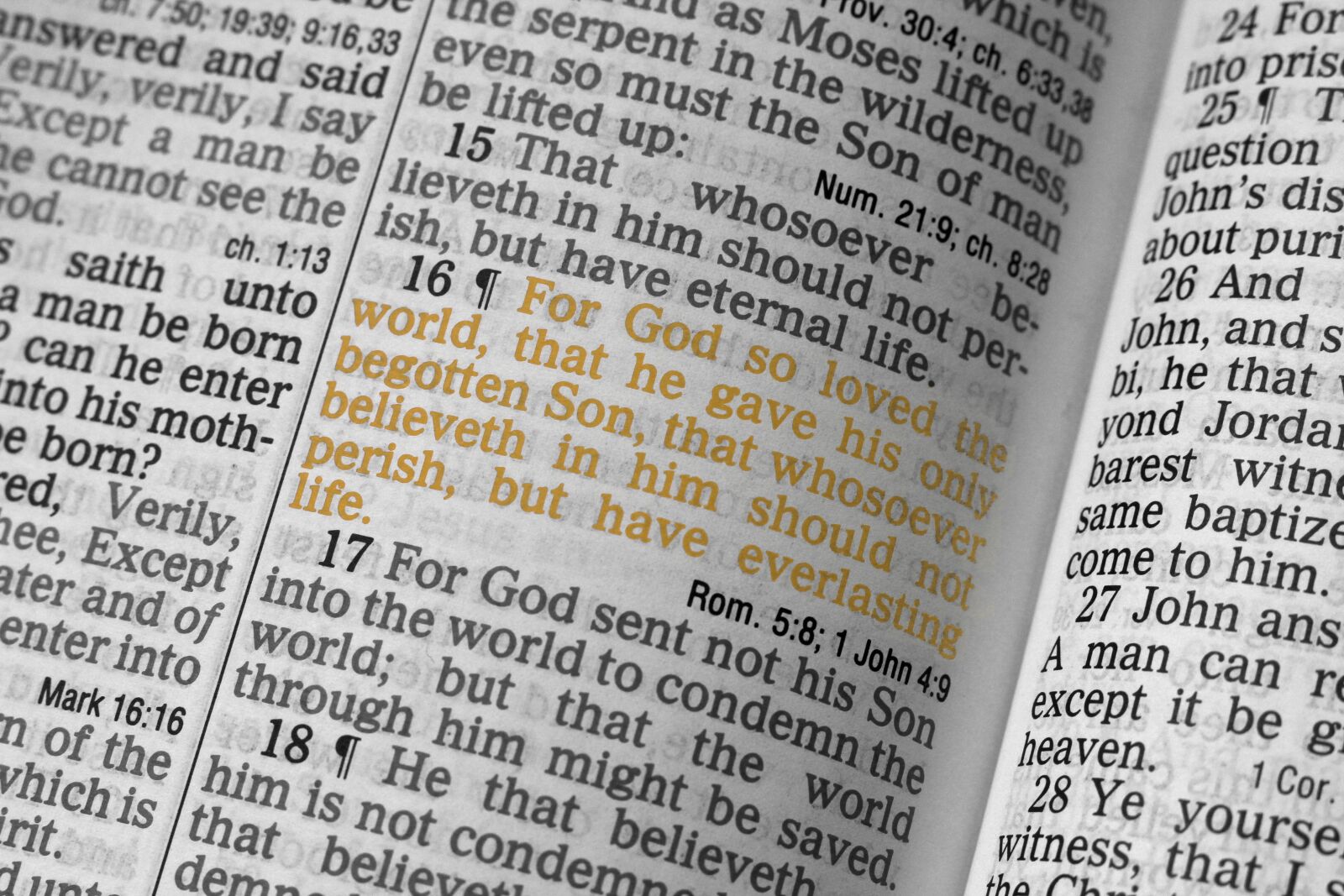 Canon EF 50mm F1.8 STM sample photo. John 3 16, bible, christian photography