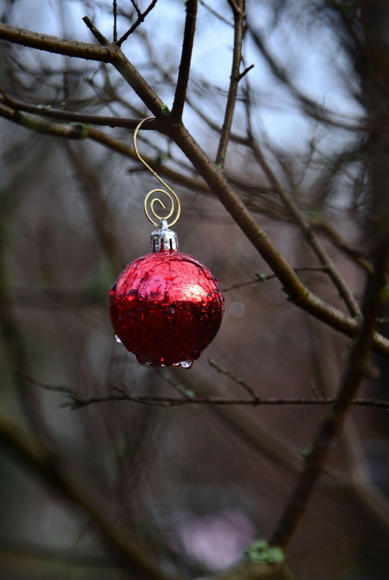 Nikon D610 sample photo. Christmas, christmas ornament, christmas photography