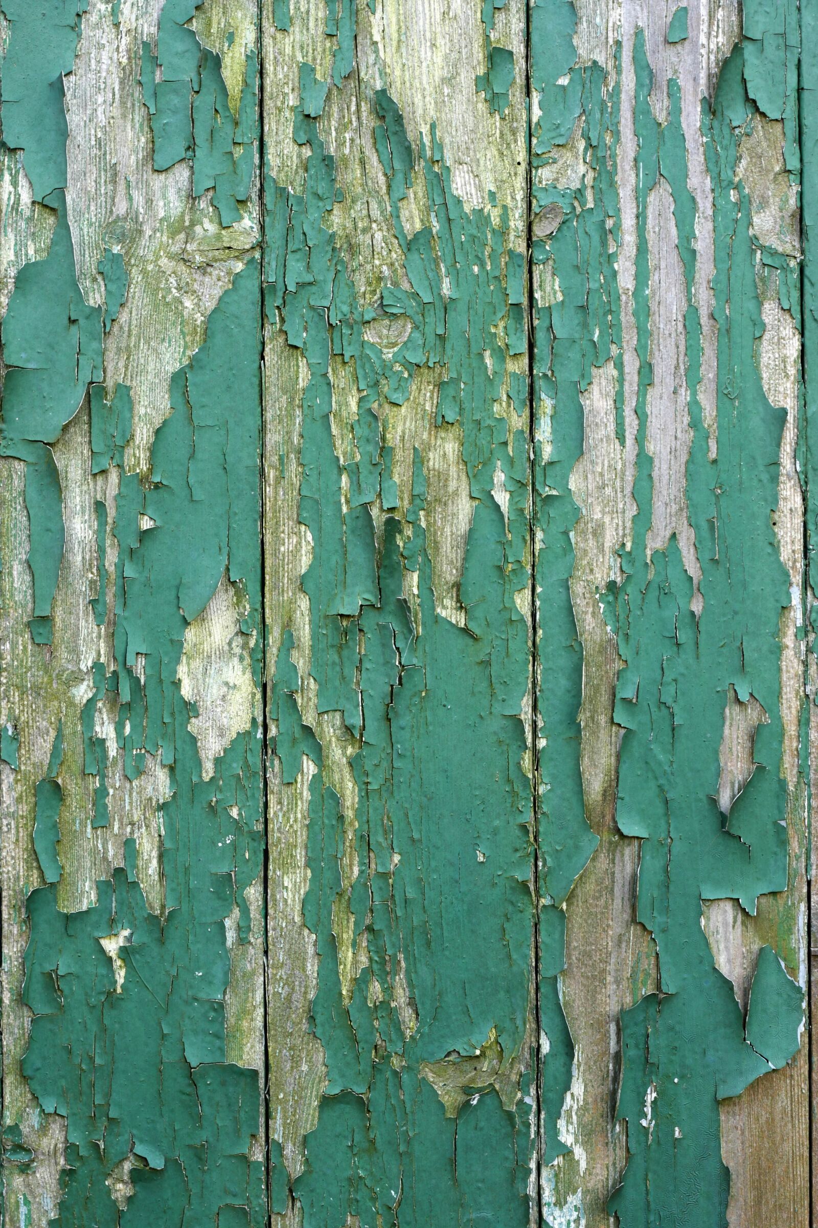 Canon EOS 40D sample photo. Wood, door, old photography
