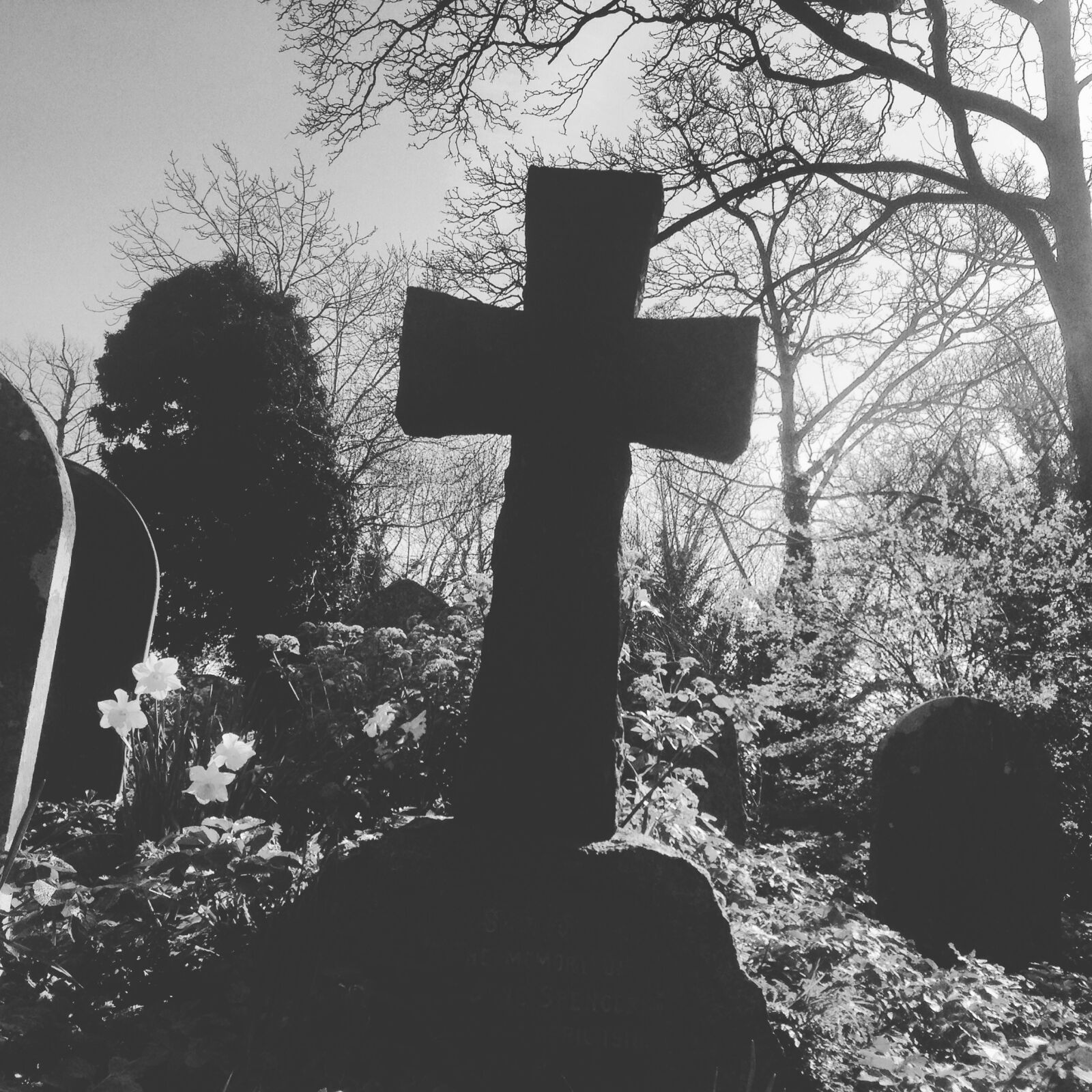 iPhone 5c back camera 4.12mm f/2.4 sample photo. Graveyard, crucifix, halloween photography