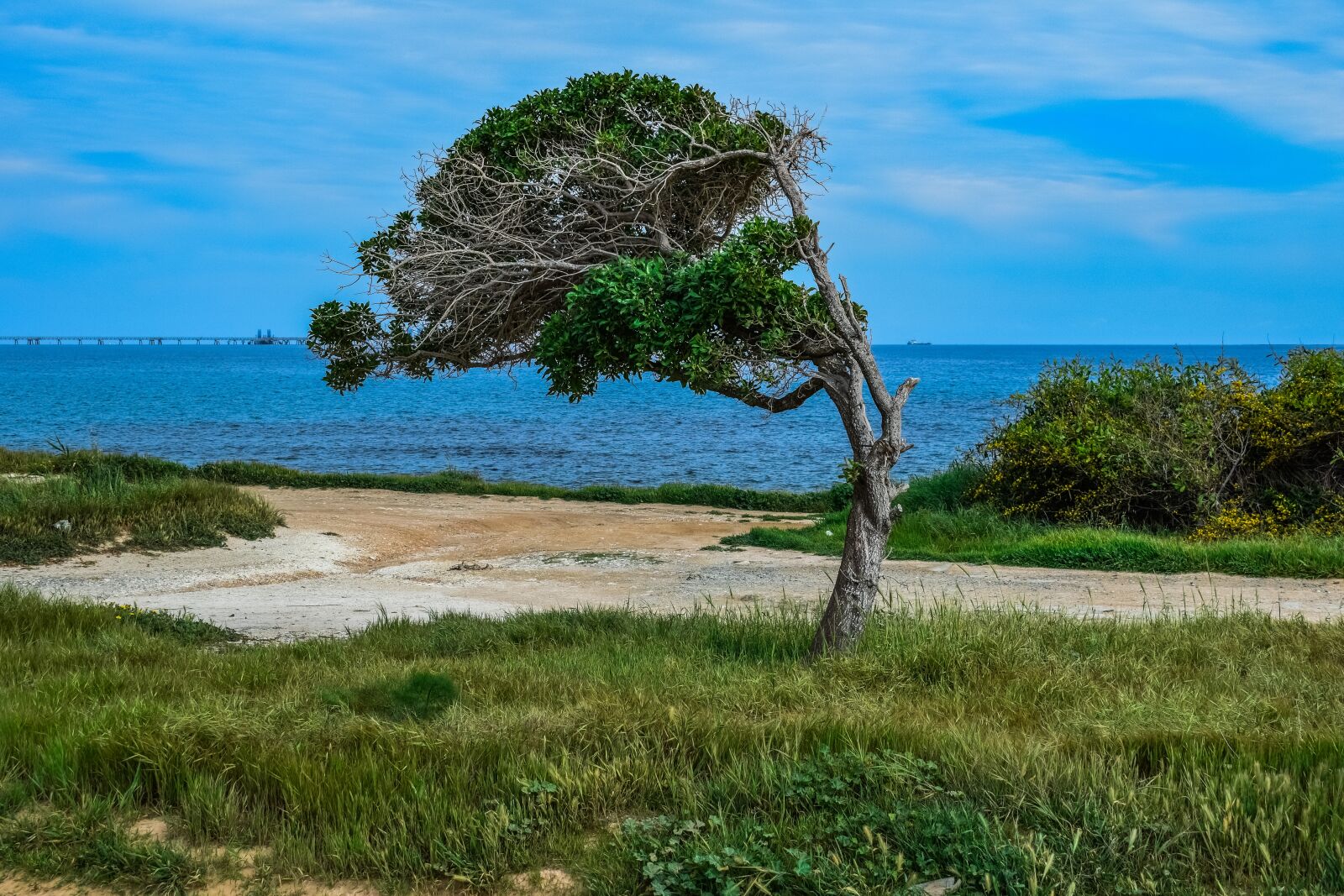 Nikon D3300 sample photo. Nature, landscape, tree photography
