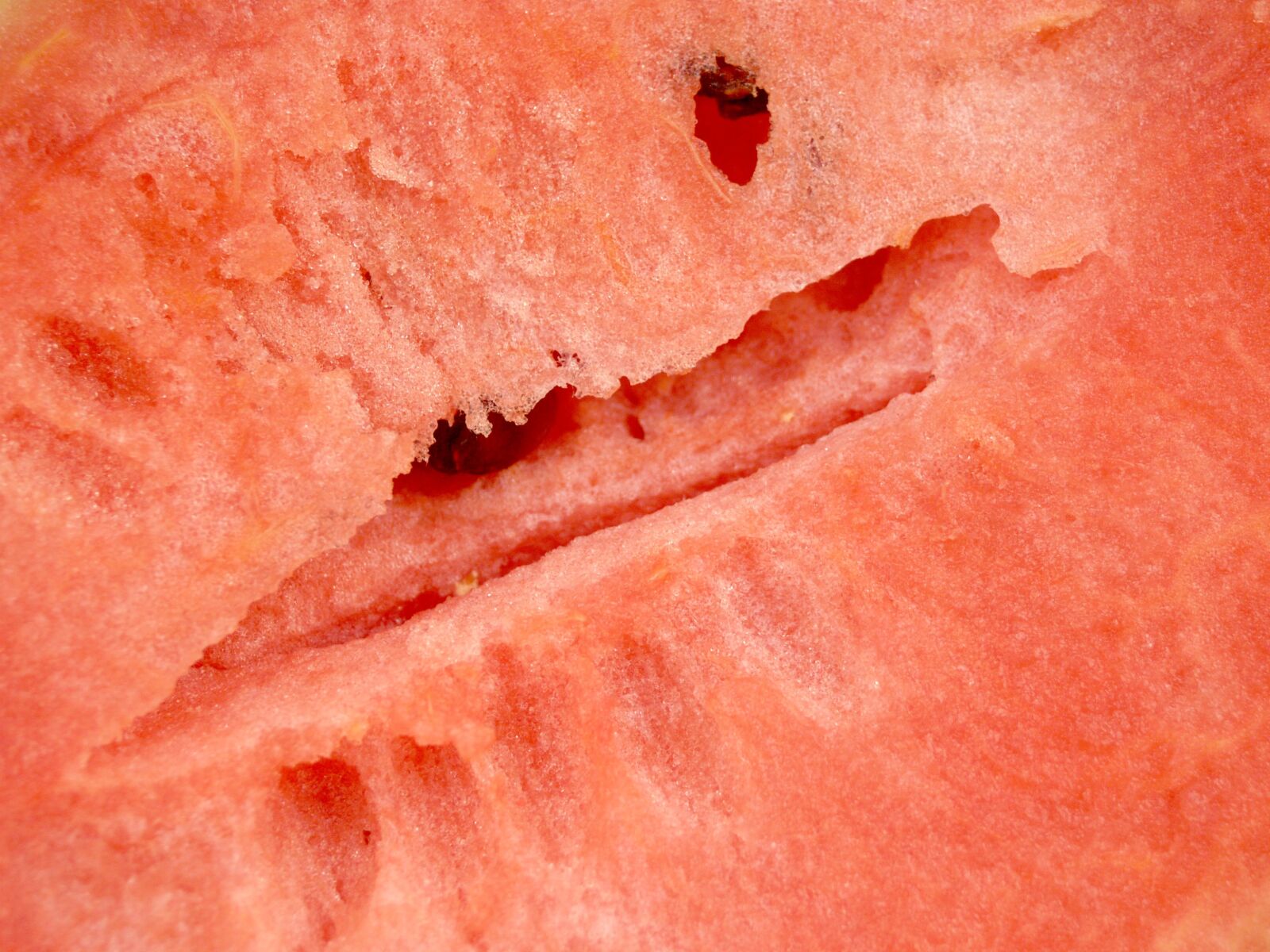 Olympus E-300 (EVOLT E-300) sample photo. Watermelon, slice, isolated photography