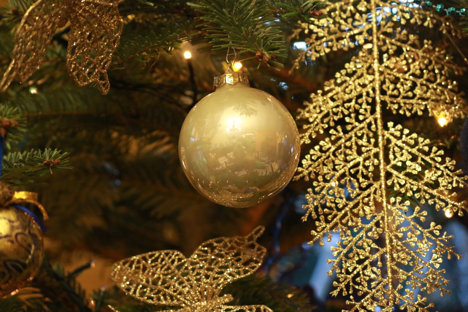 Canon EOS 70D sample photo. Christmas, winter, tree photography