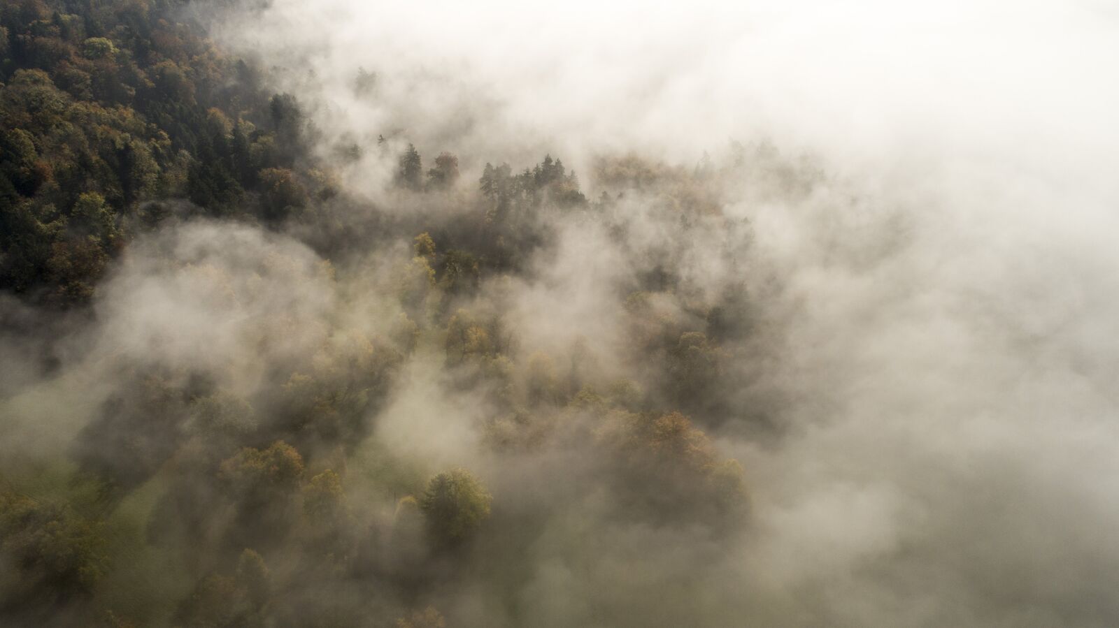 DJI FC6310 sample photo. Fog, clouds, dusk photography