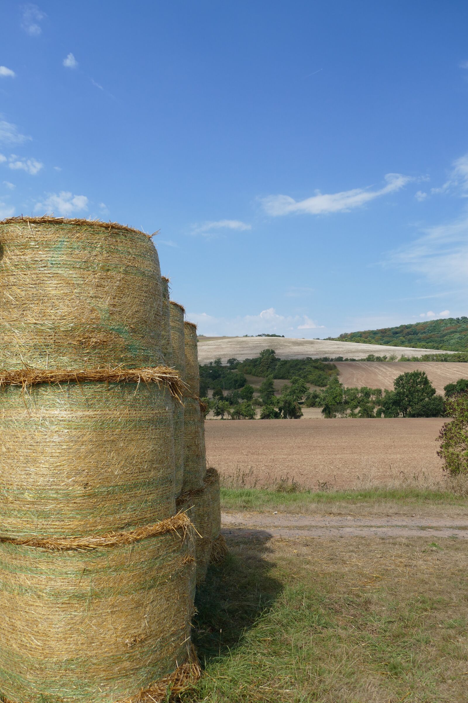 Panasonic Lumix DMC-FZ1000 sample photo. Straw bales, field, summer photography