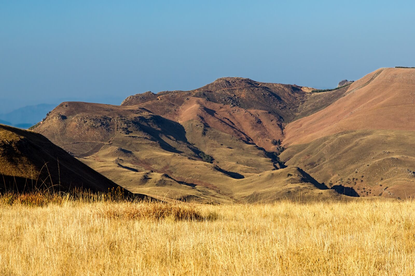 Canon EOS 550D (EOS Rebel T2i / EOS Kiss X4) sample photo. Mountains, grassland, landscape photography