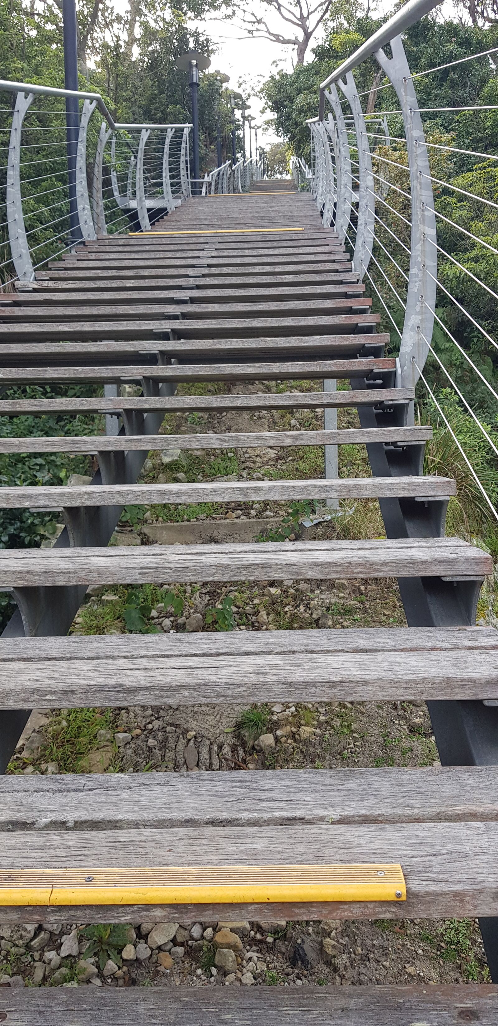 Samsung SM-G955F sample photo. Stairs, climb, steps photography
