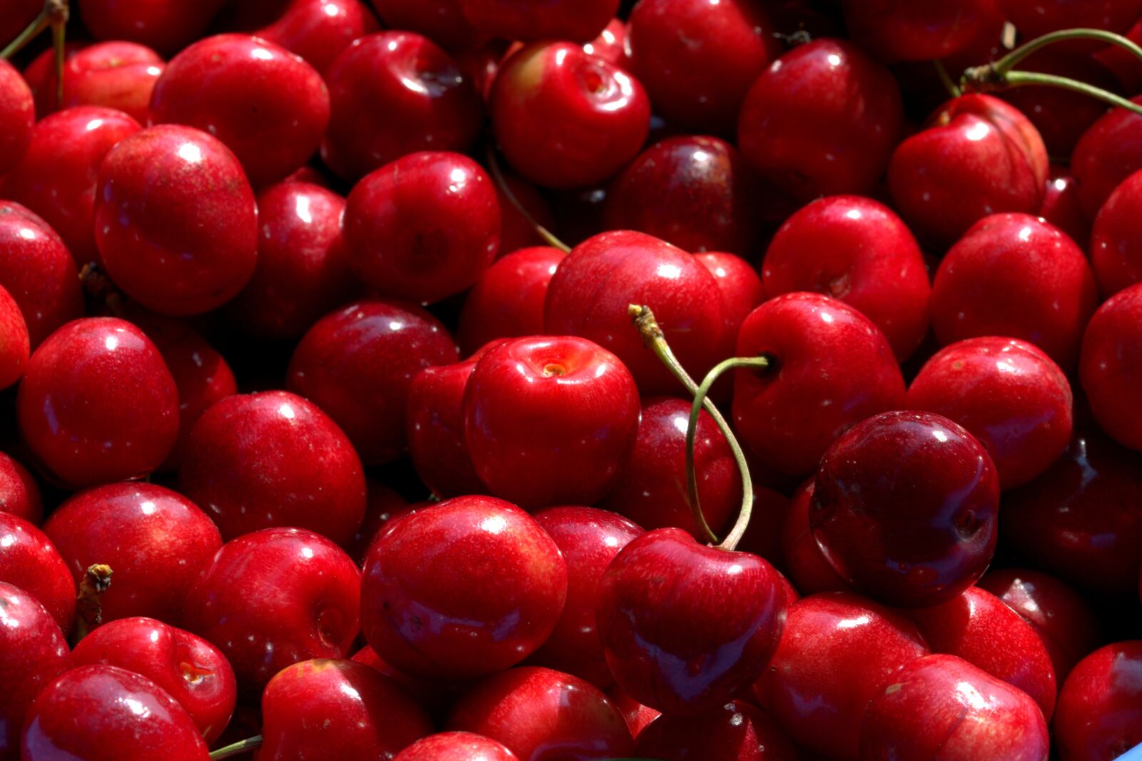 Nikon D5200 sample photo. Cherries, fruit, tree fruit photography