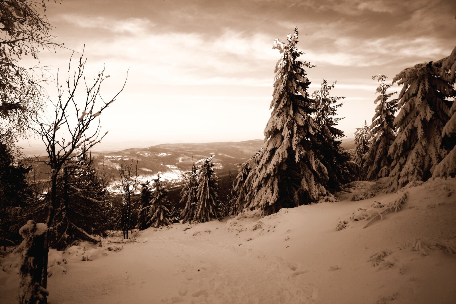 Canon EOS 5D Mark II sample photo. Winter, landscape, snow photography