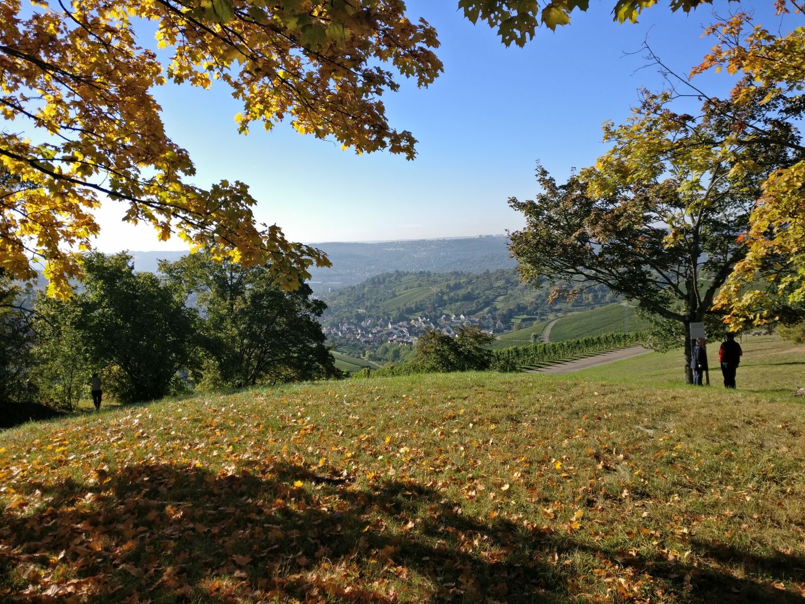 OnePlus A3003 sample photo. Stuttgart, autumn, nature photography