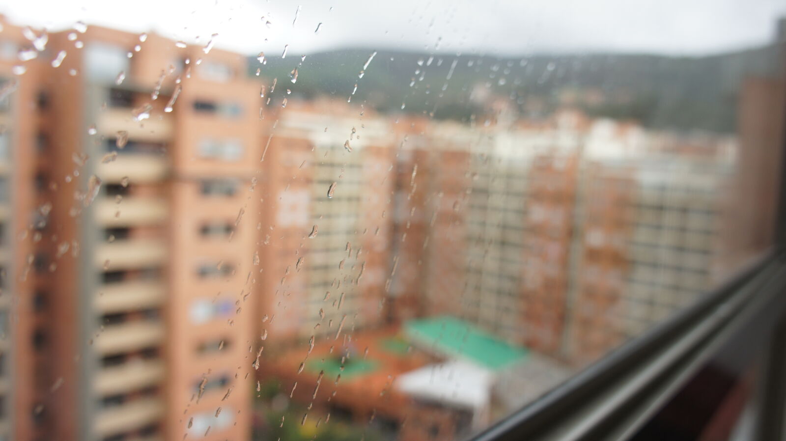 Sony E 18-55mm F3.5-5.6 OSS sample photo. Bogota, close, colombia, rain photography