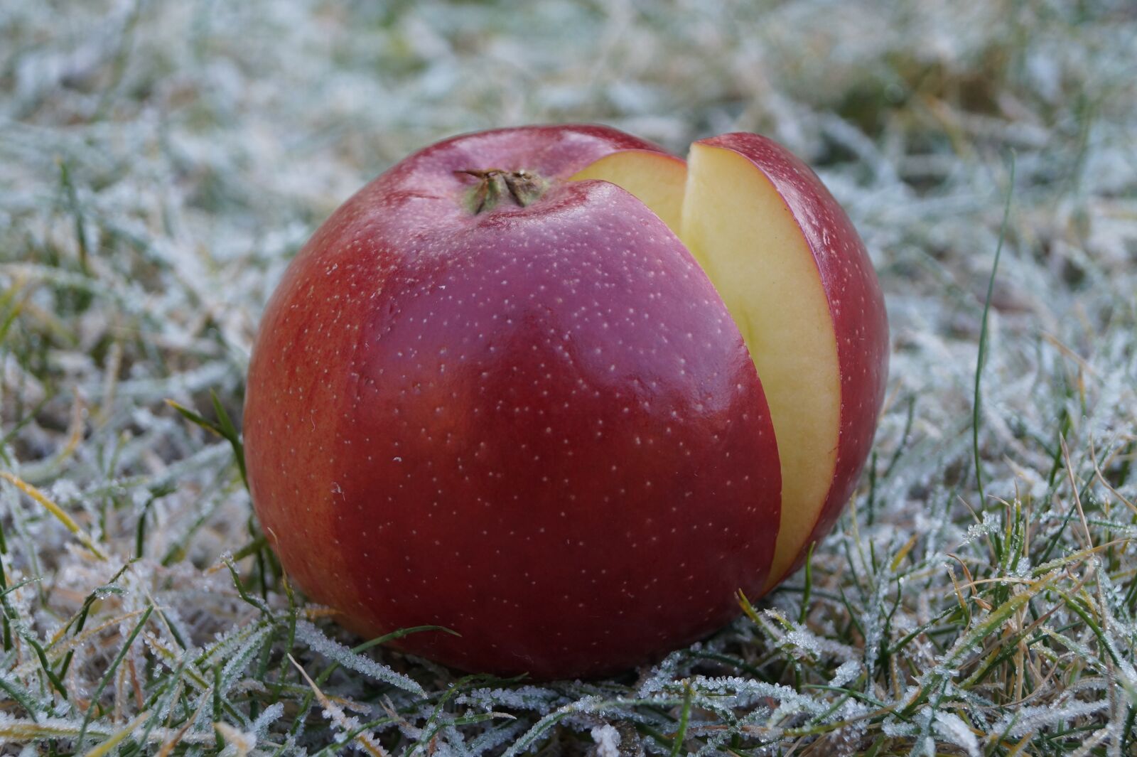 Sony DT 18-55mm F3.5-5.6 SAM II sample photo. Apple, fruit, vitamins photography