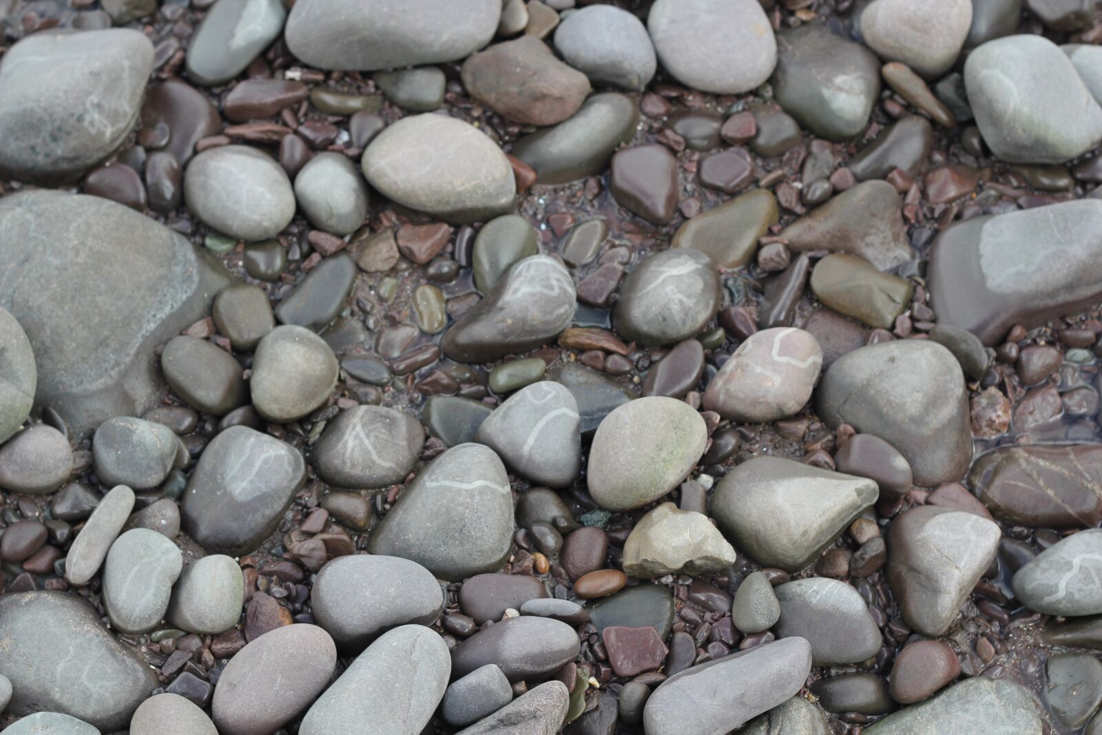Canon EOS 550D (EOS Rebel T2i / EOS Kiss X4) sample photo. Stones, stone, beach photography