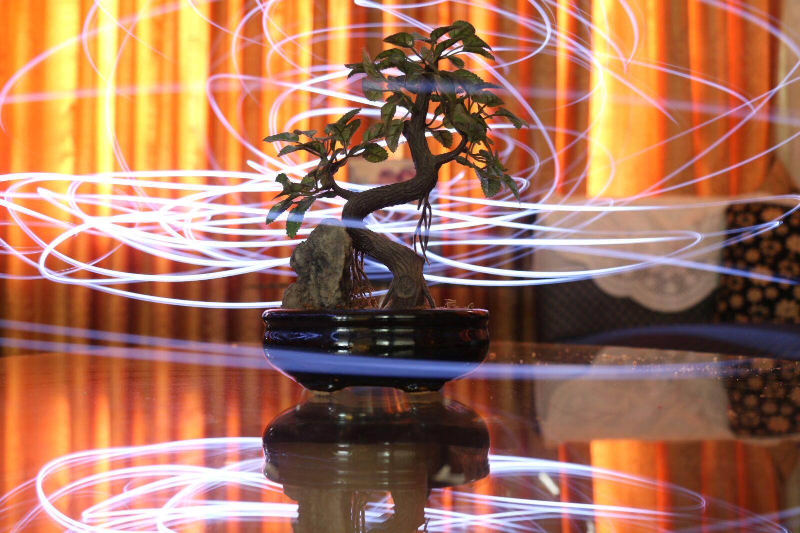 Canon EOS 70D sample photo. Abstract, bonsai, cool, light photography