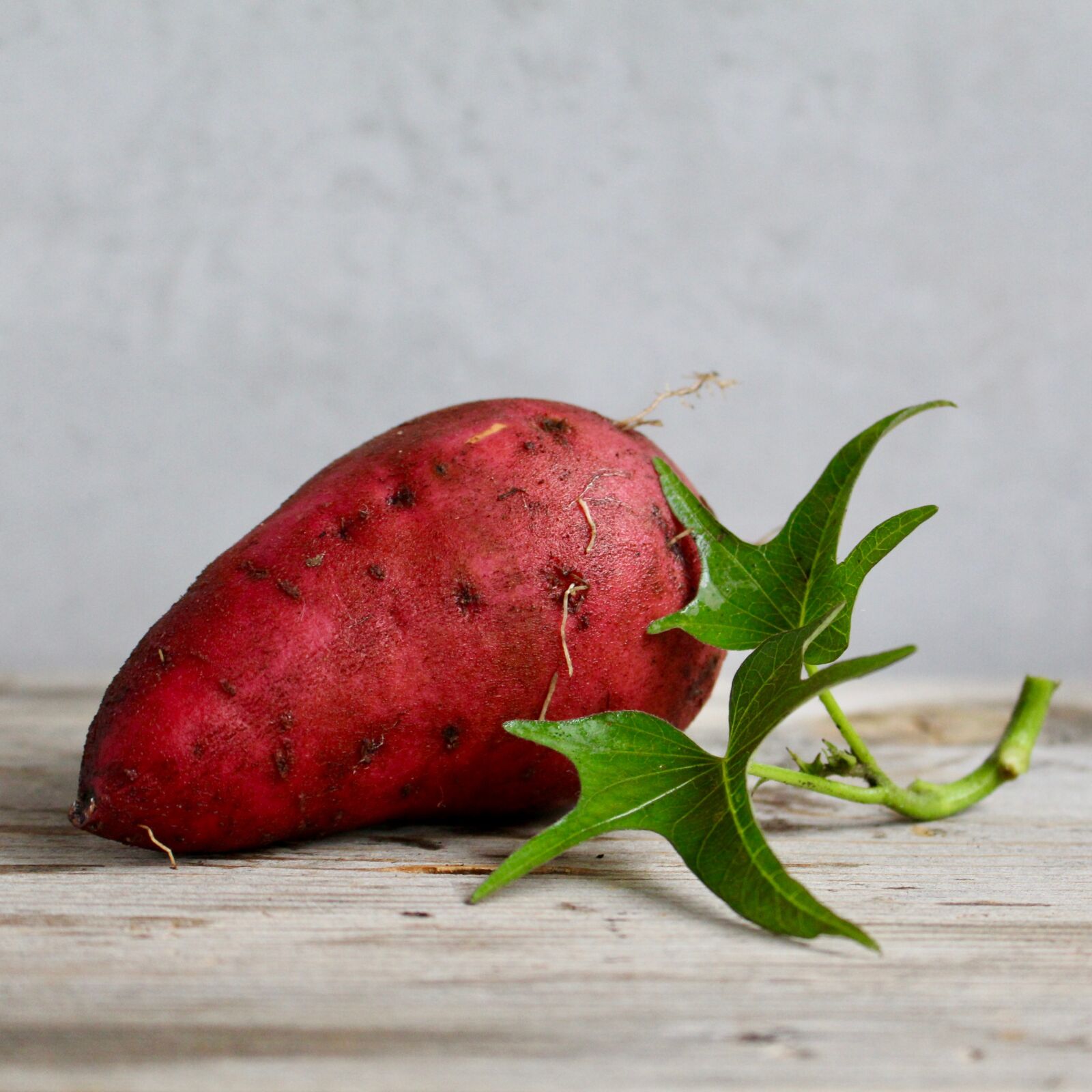 Canon EOS 700D (EOS Rebel T5i / EOS Kiss X7i) sample photo. Sweet potato, food, vegetable photography