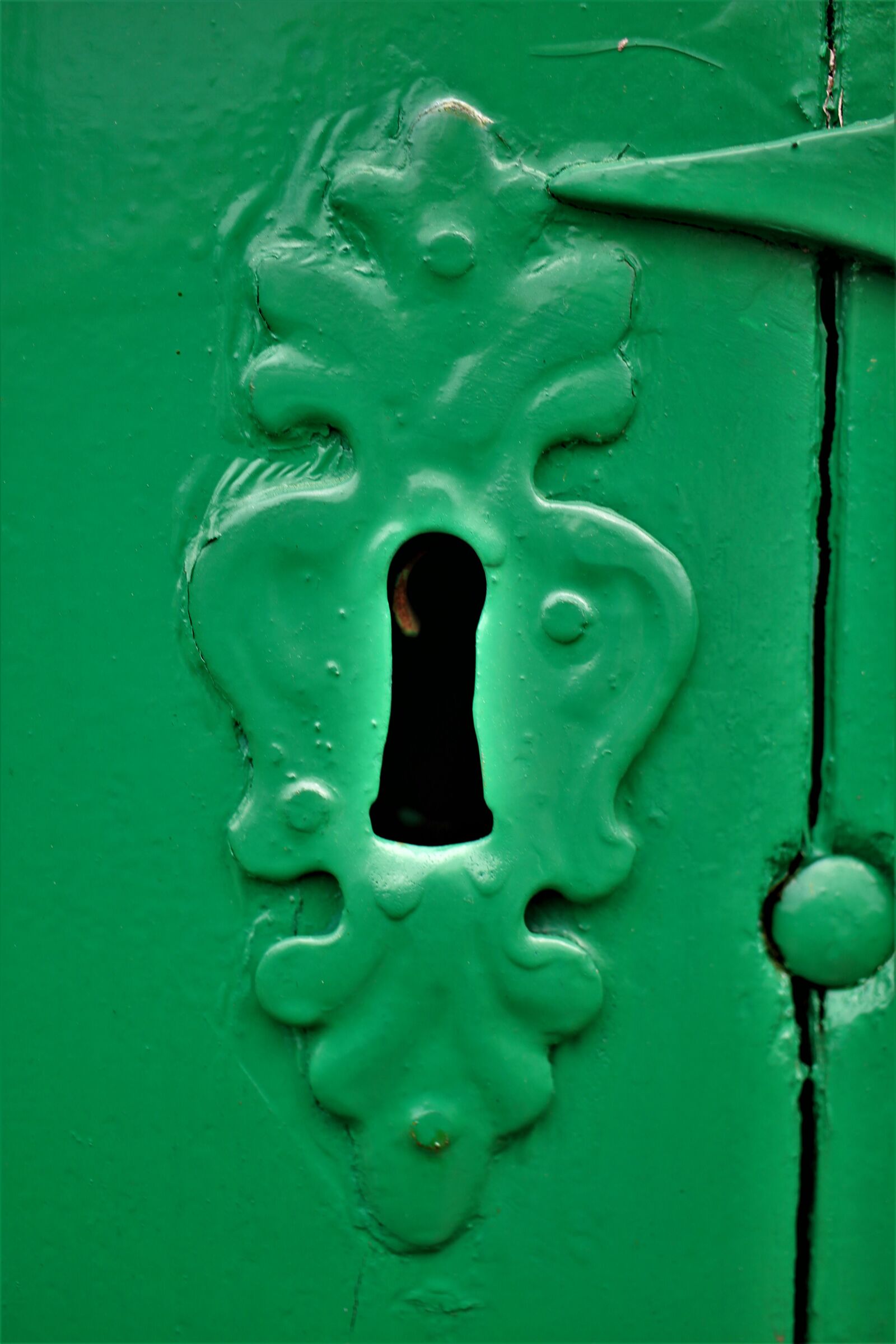 Canon EF-S 35mm F2.8 Macro IS STM sample photo. Door lock, castle, green photography