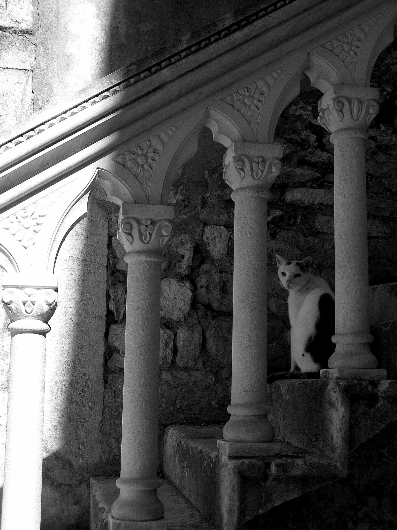 Canon POWERSHOT A720 IS sample photo. Staircase, cat, shadow photography