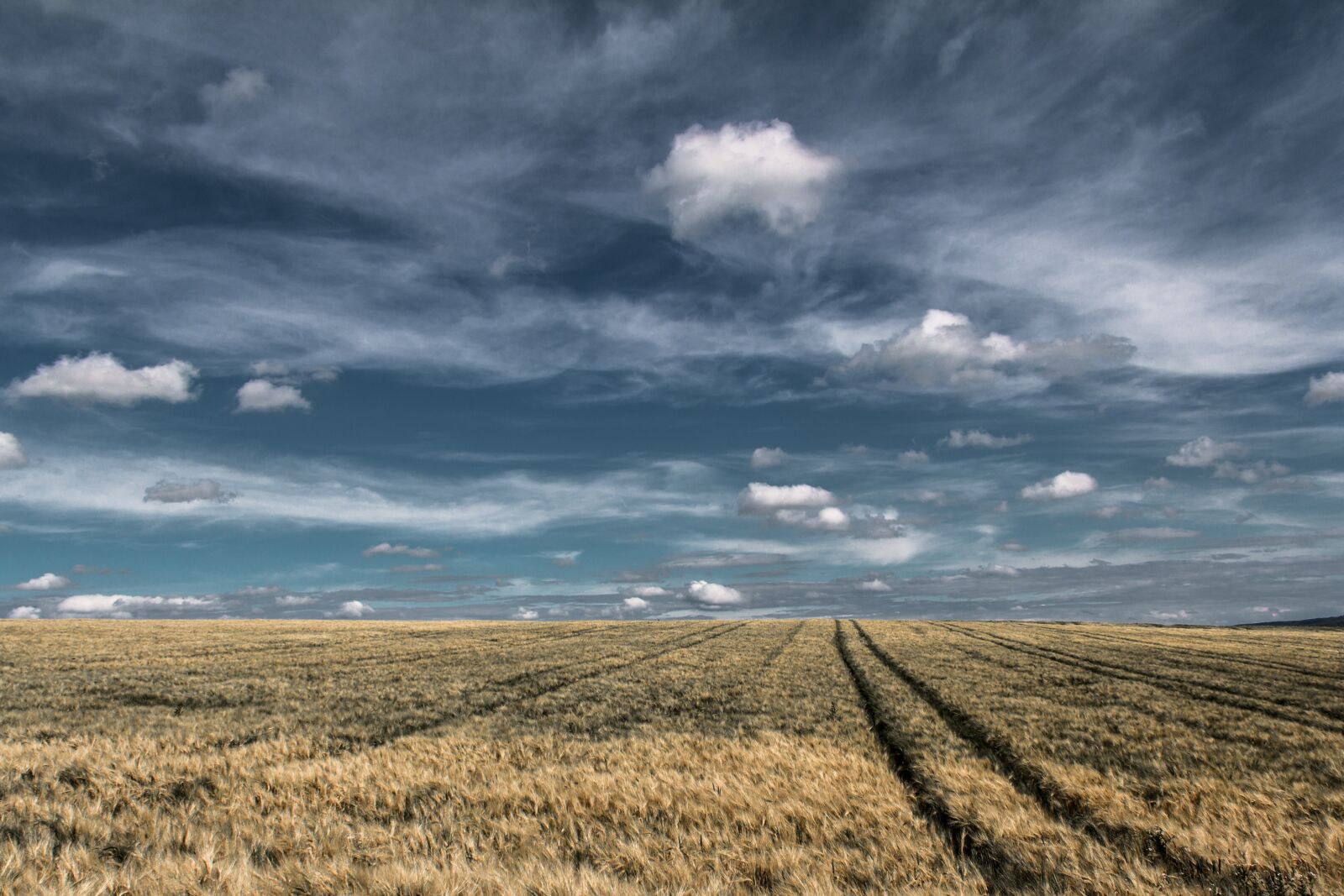 Canon EF-S 18-135mm F3.5-5.6 IS sample photo. Clouds, field, landscape photography