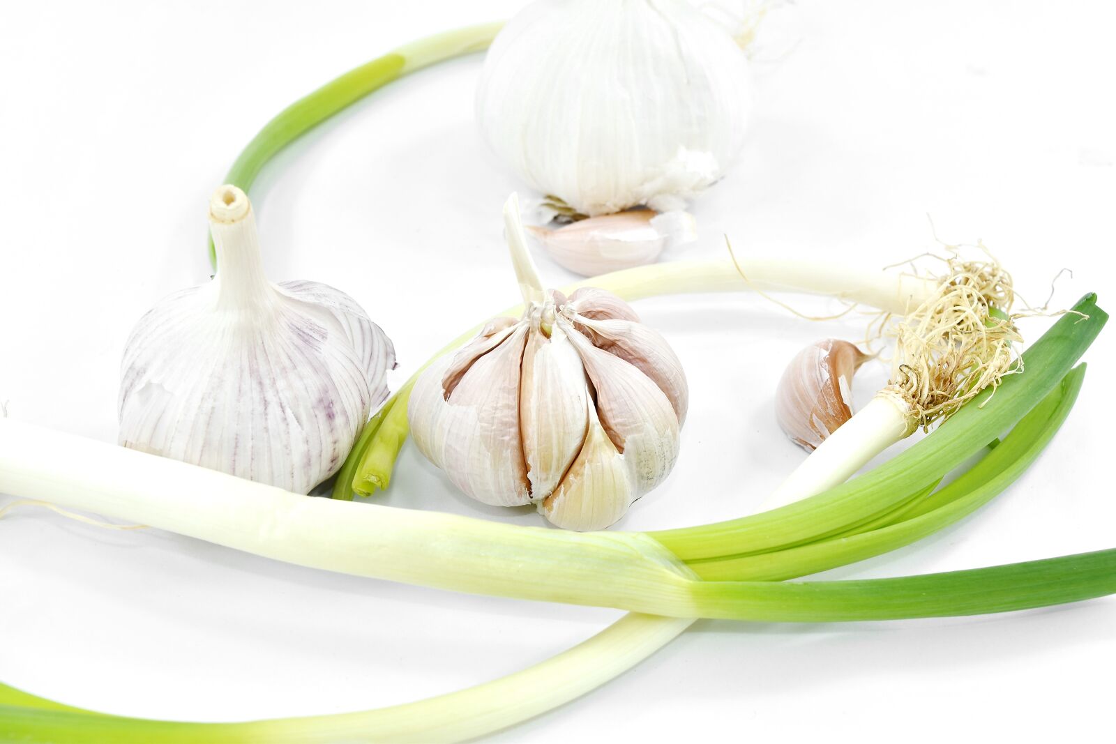 Nikon D5500 sample photo. Antibacterial, antioxidant, aroma, garlic photography