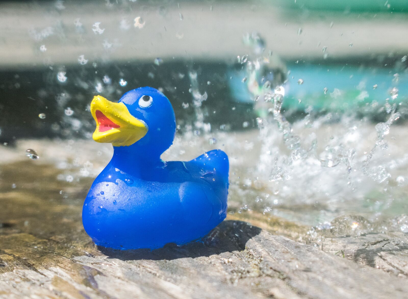 Nikon D3300 sample photo. Rubberduck, toy, water photography