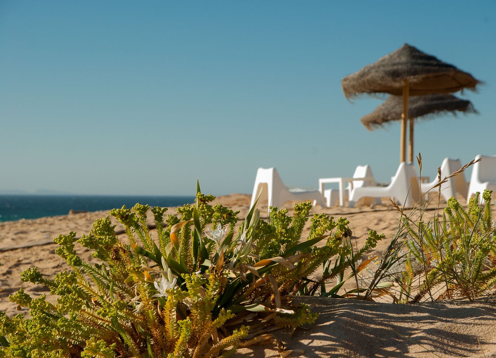 Pentax K10D sample photo. Beach, parasol, seaside photography