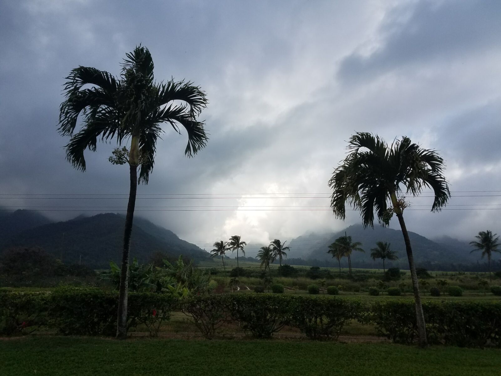 Samsung Galaxy S7 Edge sample photo. Clouds, fog, jurassic, park photography