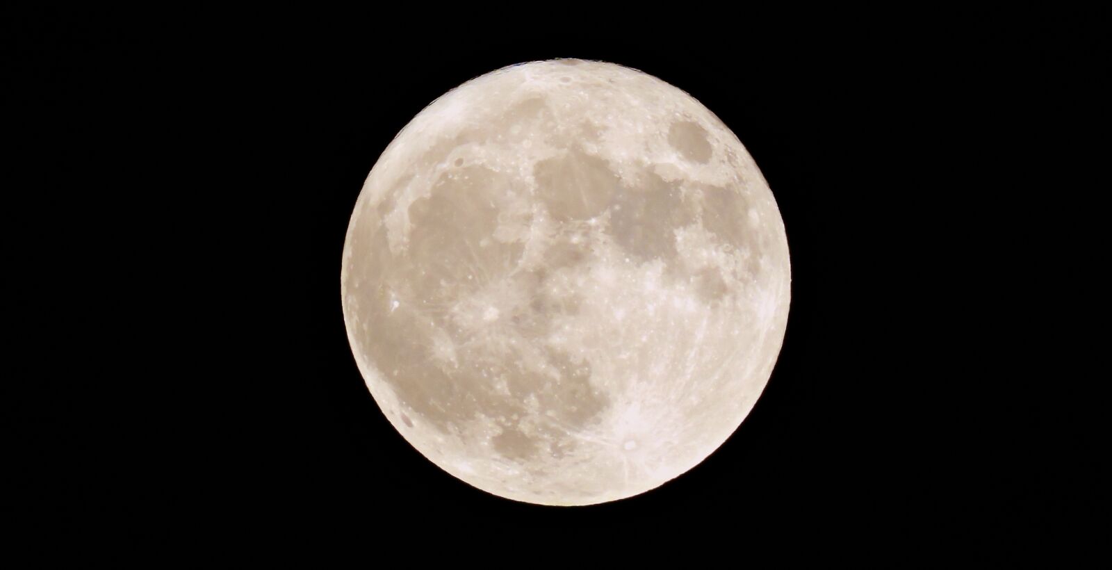 Nikon Coolpix P600 sample photo. Luna, super, bright photography