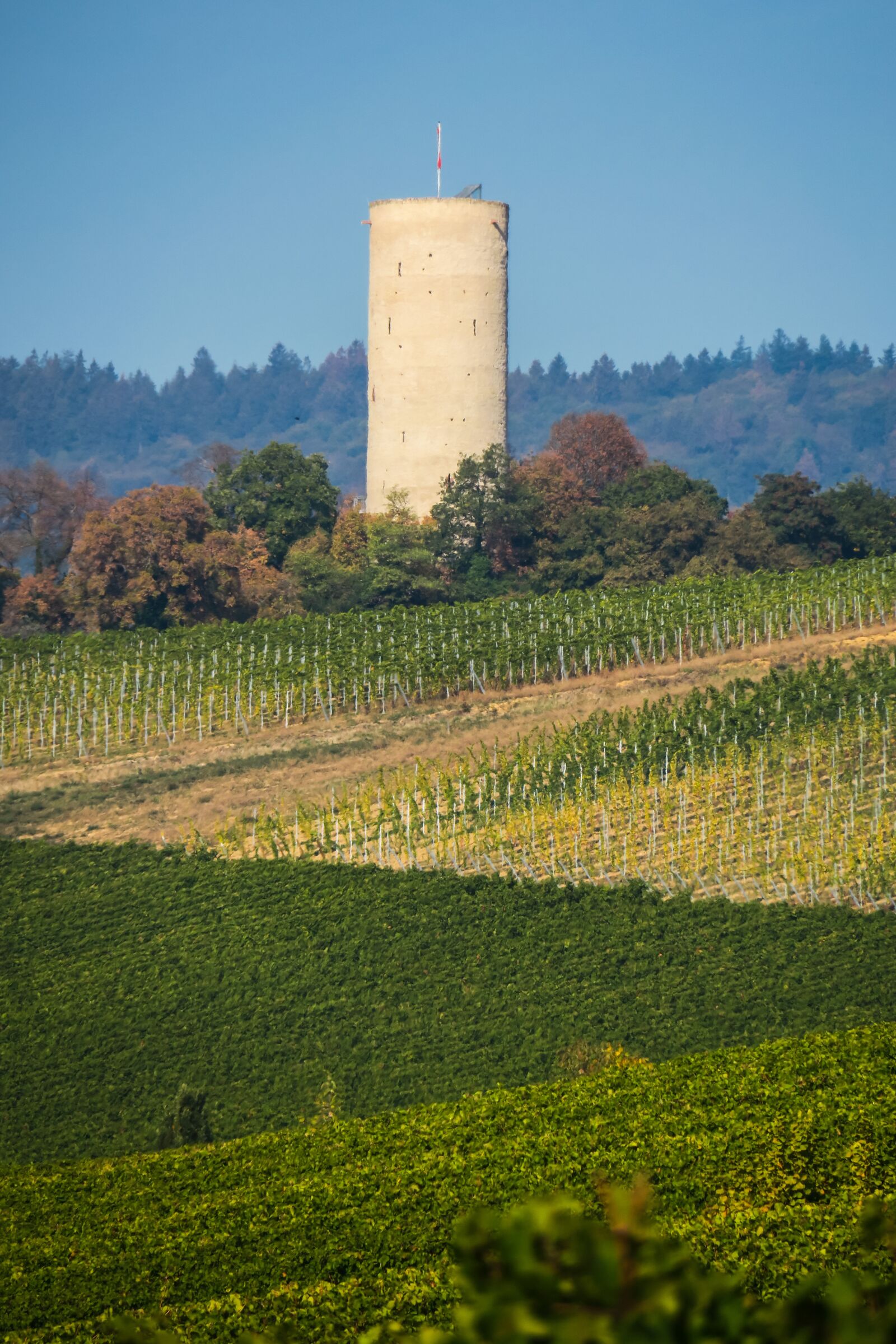 Canon PowerShot G3 X sample photo. Vineyard, burgruine, ruin photography