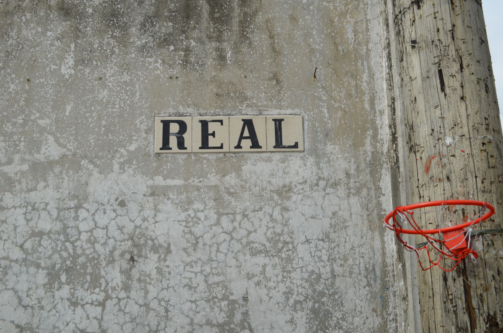 Nikon D5100 sample photo. Basketball, brick, wall, building photography