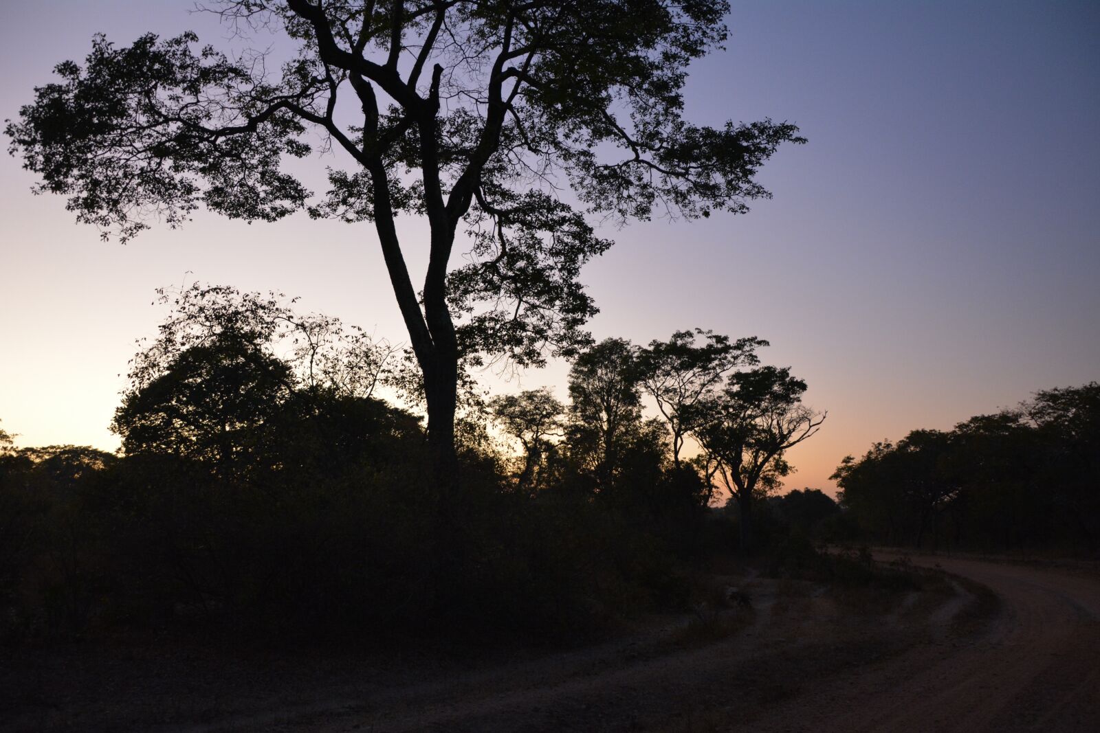 Nikon D7100 sample photo. Sunrise, dawn, nature photography