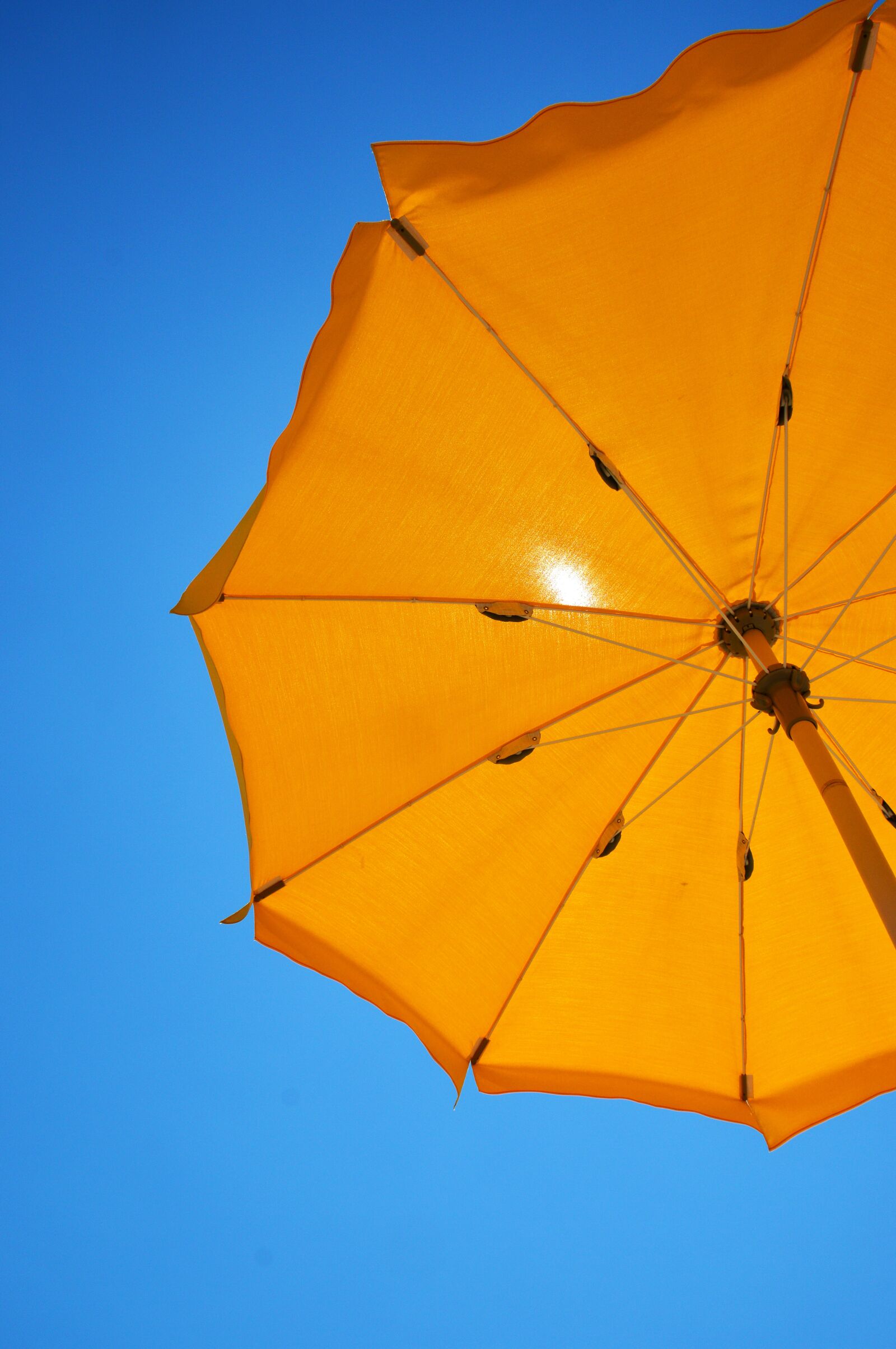 Nikon D3200 sample photo. Yellow, parasol, summer photography