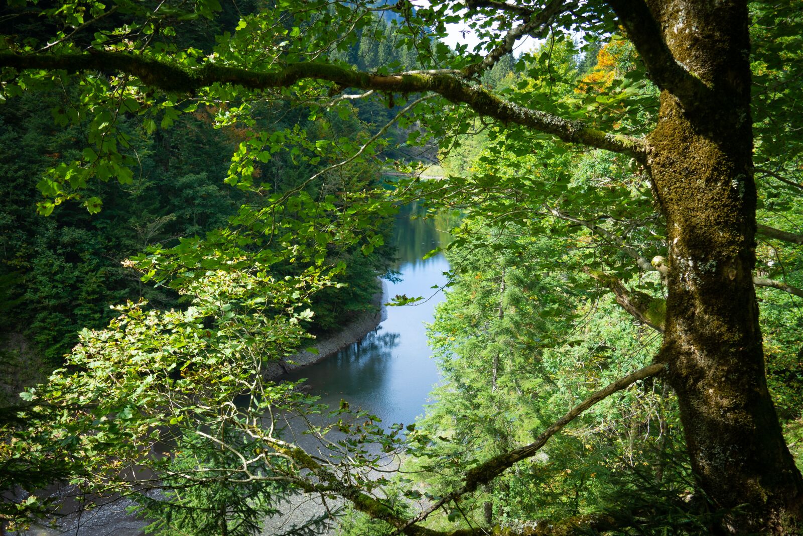 Sony a6000 + Sony E 18-135mm F3.5-5.6 OSS sample photo. Forest, mountains, river photography