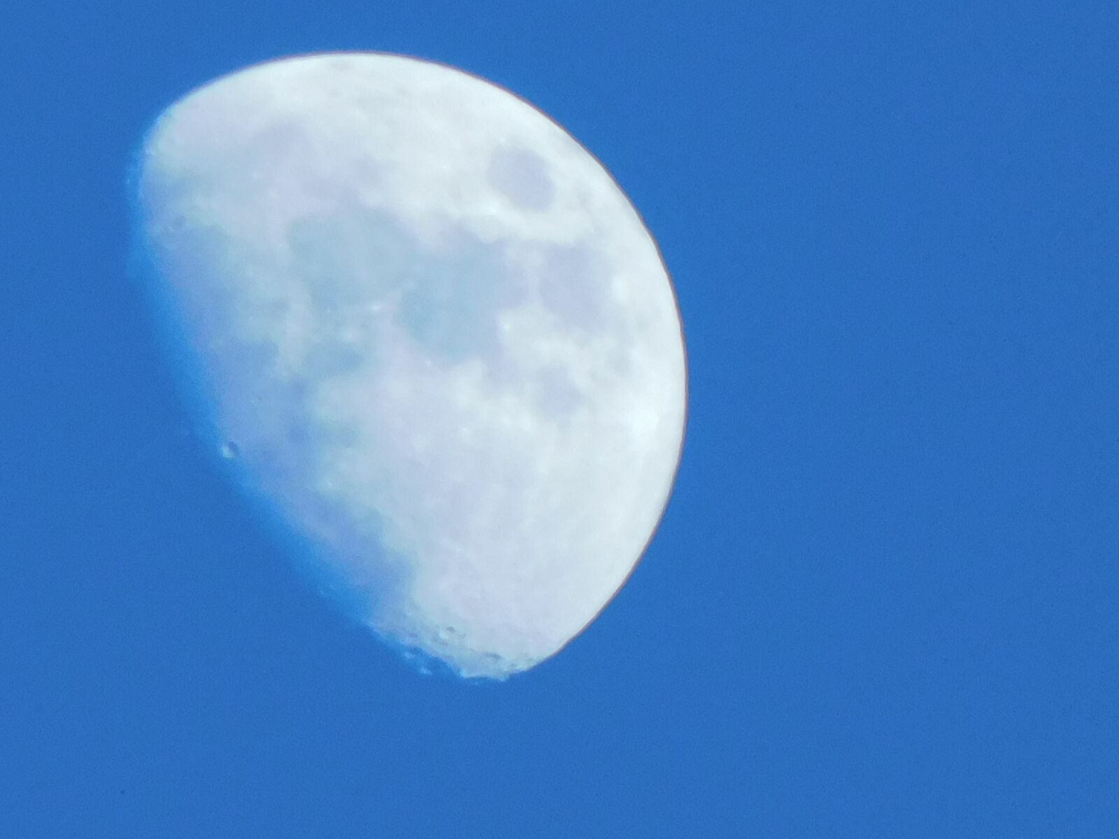 Nikon Coolpix B500 sample photo
