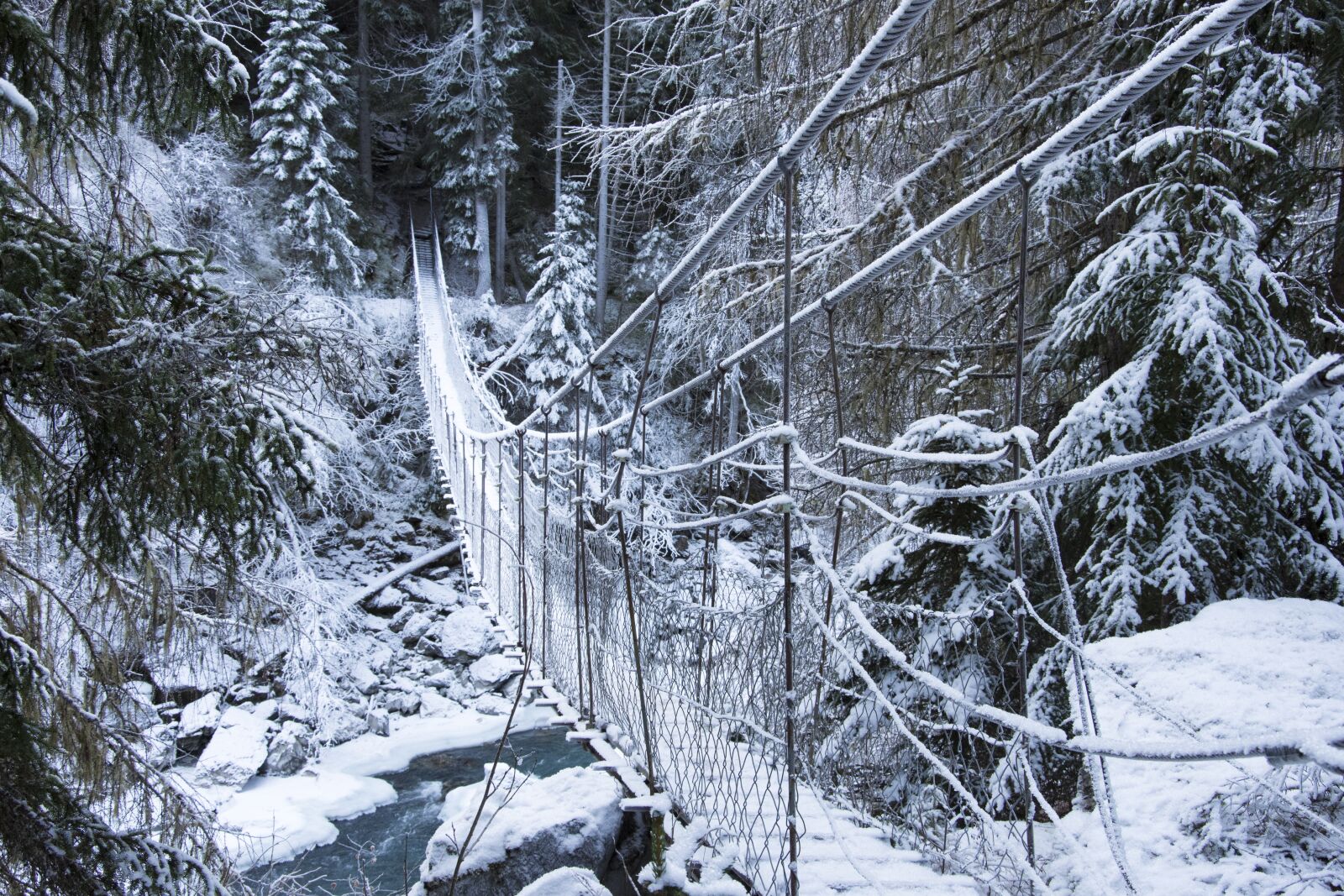 Nikon D7200 sample photo. Suspension bridge, winter, frozen photography