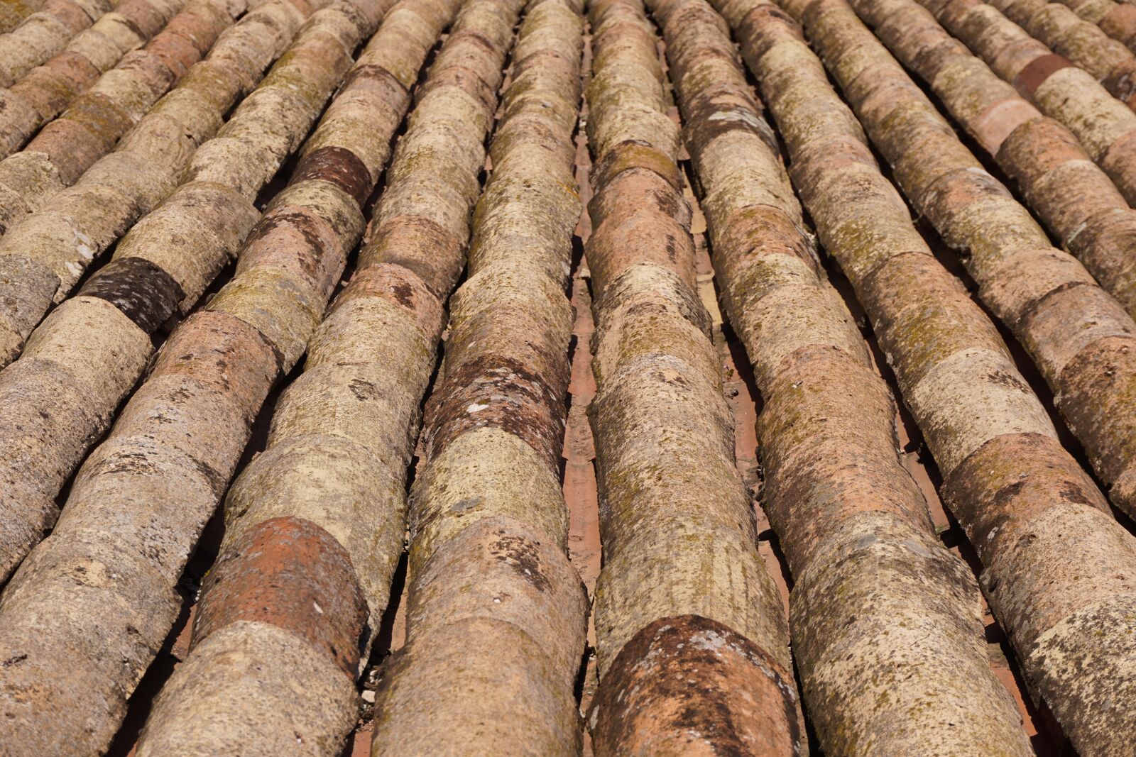 Sony a6000 sample photo. Roof, tile, roofing photography