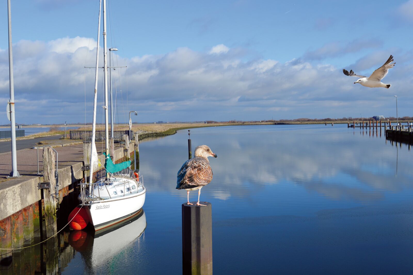 Nikon D3200 sample photo. Boat, seagull, water photography