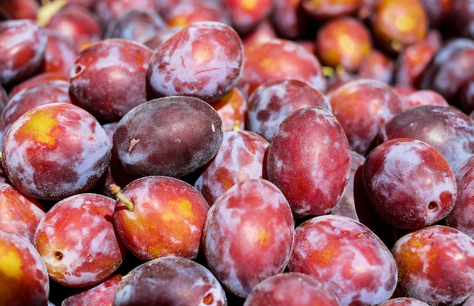 Fujifilm X-T10 + Fujifilm XF 35mm F1.4 R sample photo. Plum, fruit, fruits photography