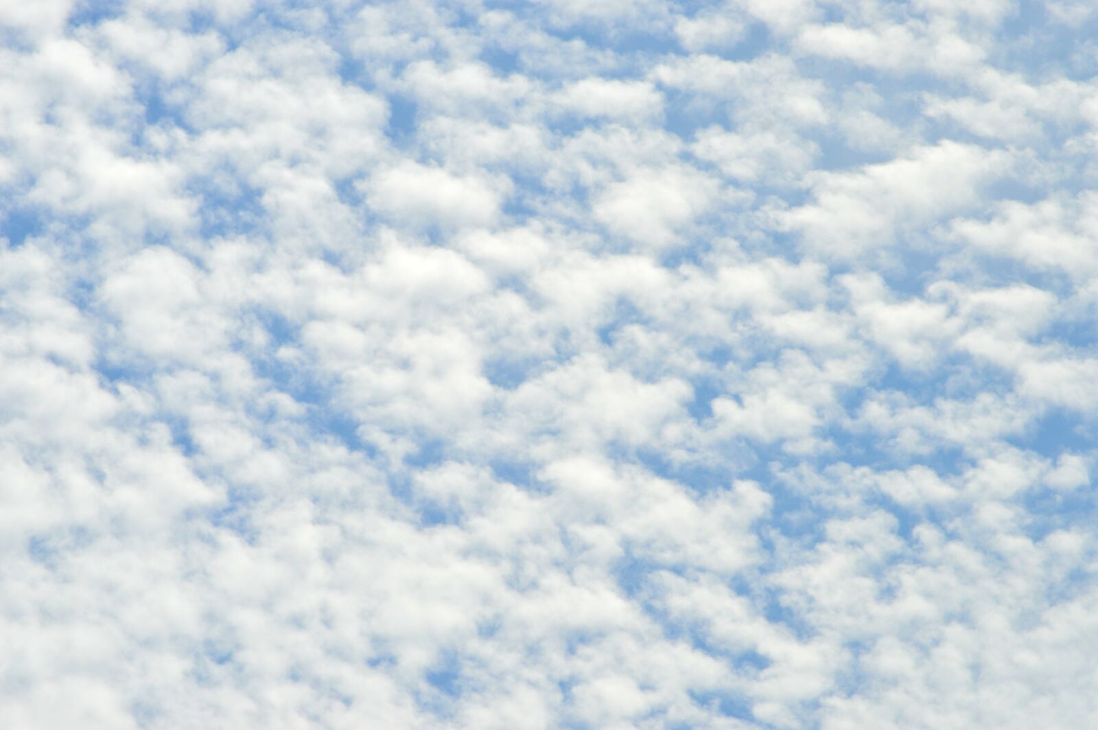 Nikon D3200 sample photo. Sky, clouds of borrego photography